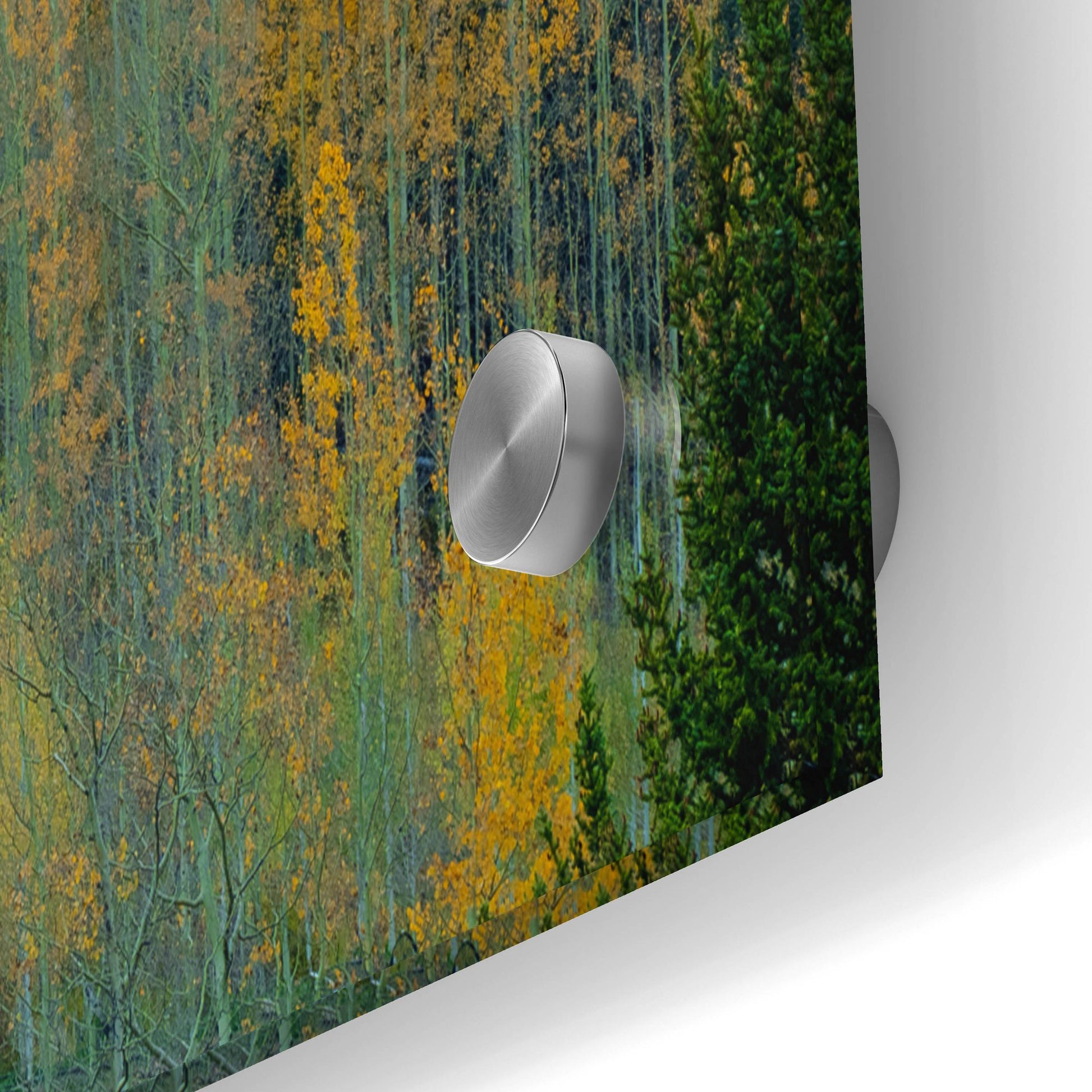 Epic Art 'Aspen Escalators' by Bill Sherrell, Acrylic Glass Wall Art,36x24