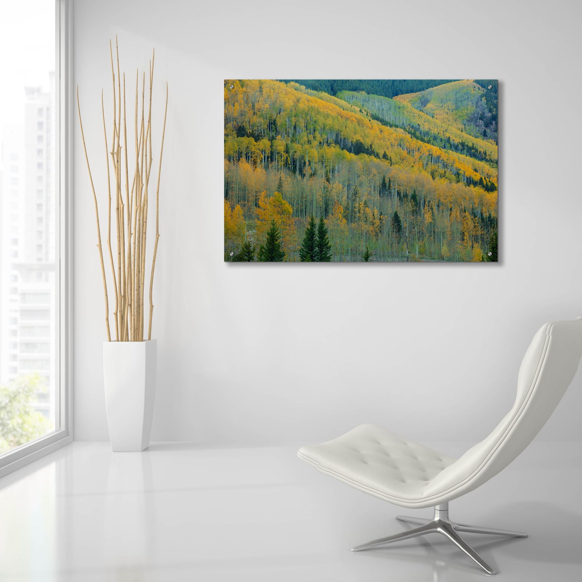 Epic Art 'Aspen Escalators' by Bill Sherrell, Acrylic Glass Wall Art,36x24