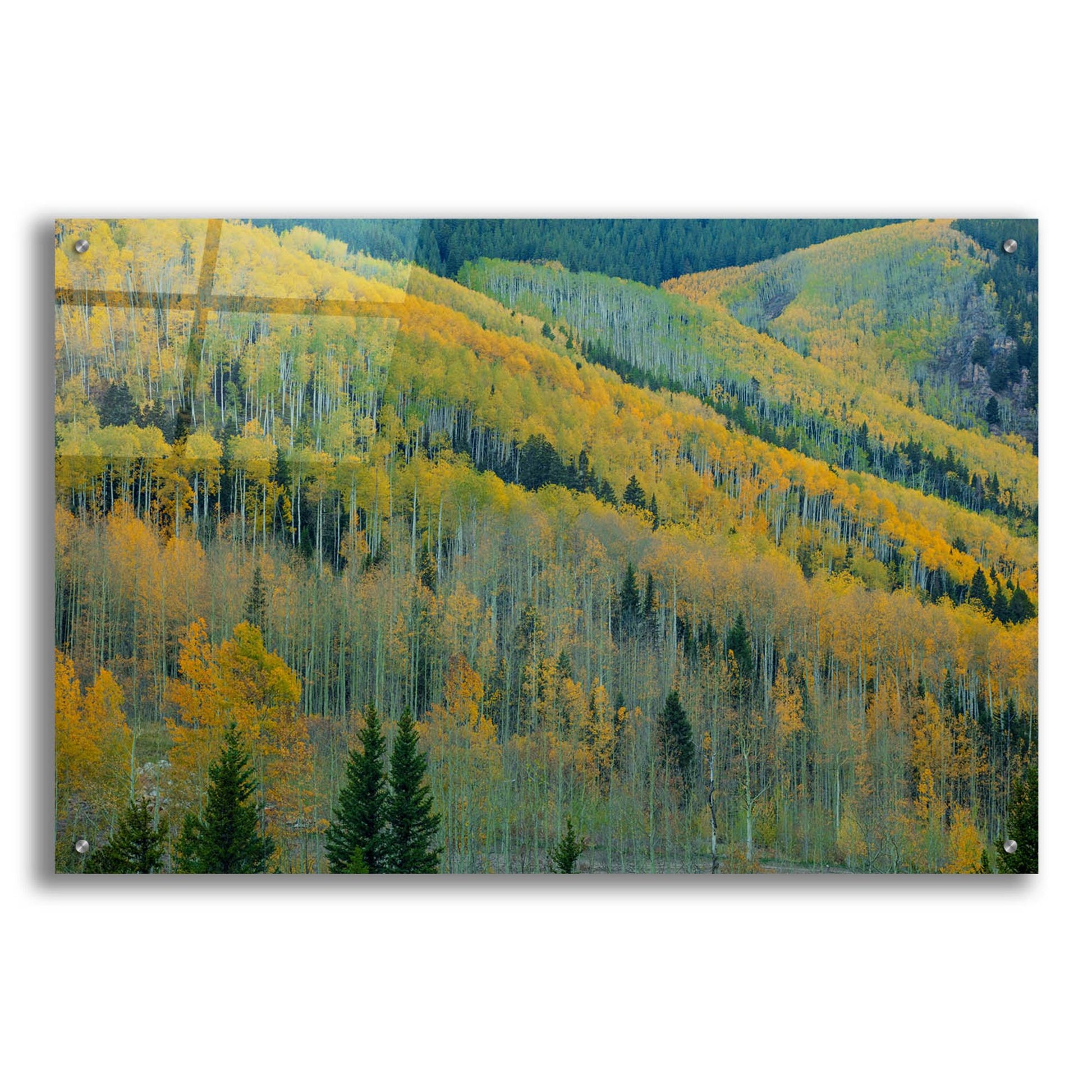 Epic Art 'Aspen Escalators' by Bill Sherrell, Acrylic Glass Wall Art,36x24