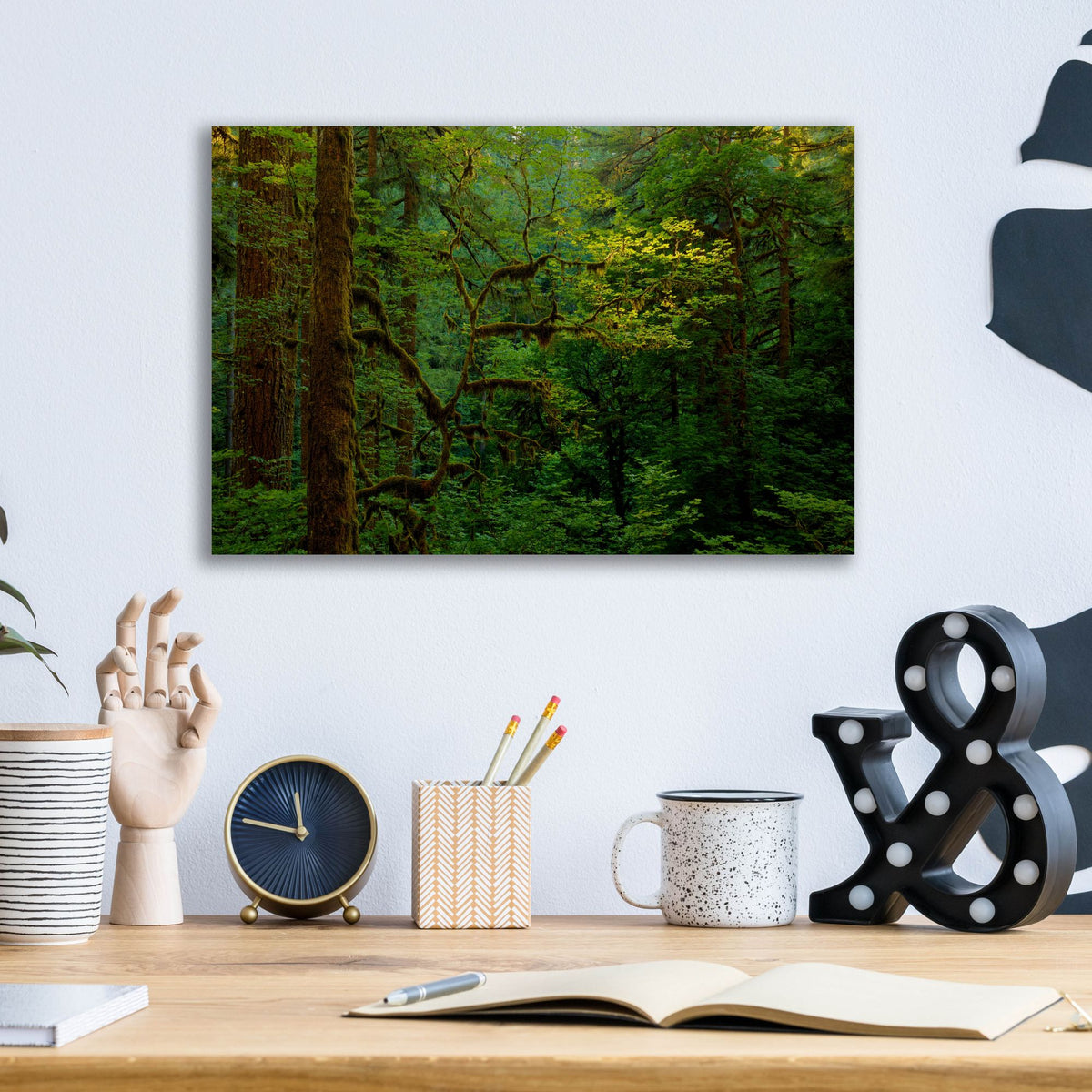 Epic Art 'Light In A Dark Forest' by Bill Sherrell, Acrylic Glass Wall Art,16x12