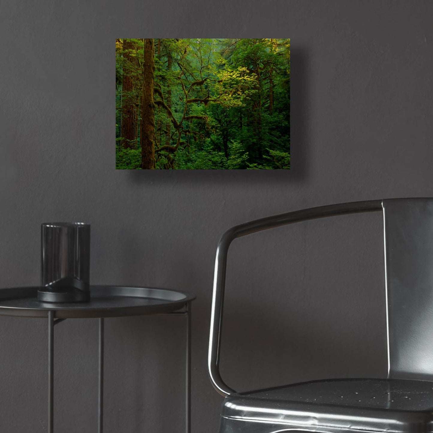 Epic Art 'Light In A Dark Forest' by Bill Sherrell, Acrylic Glass Wall Art,16x12