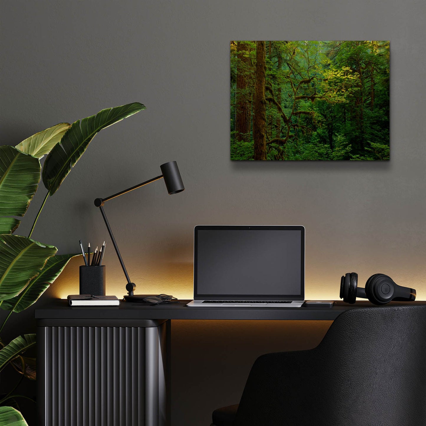 Epic Art 'Light In A Dark Forest' by Bill Sherrell, Acrylic Glass Wall Art,16x12