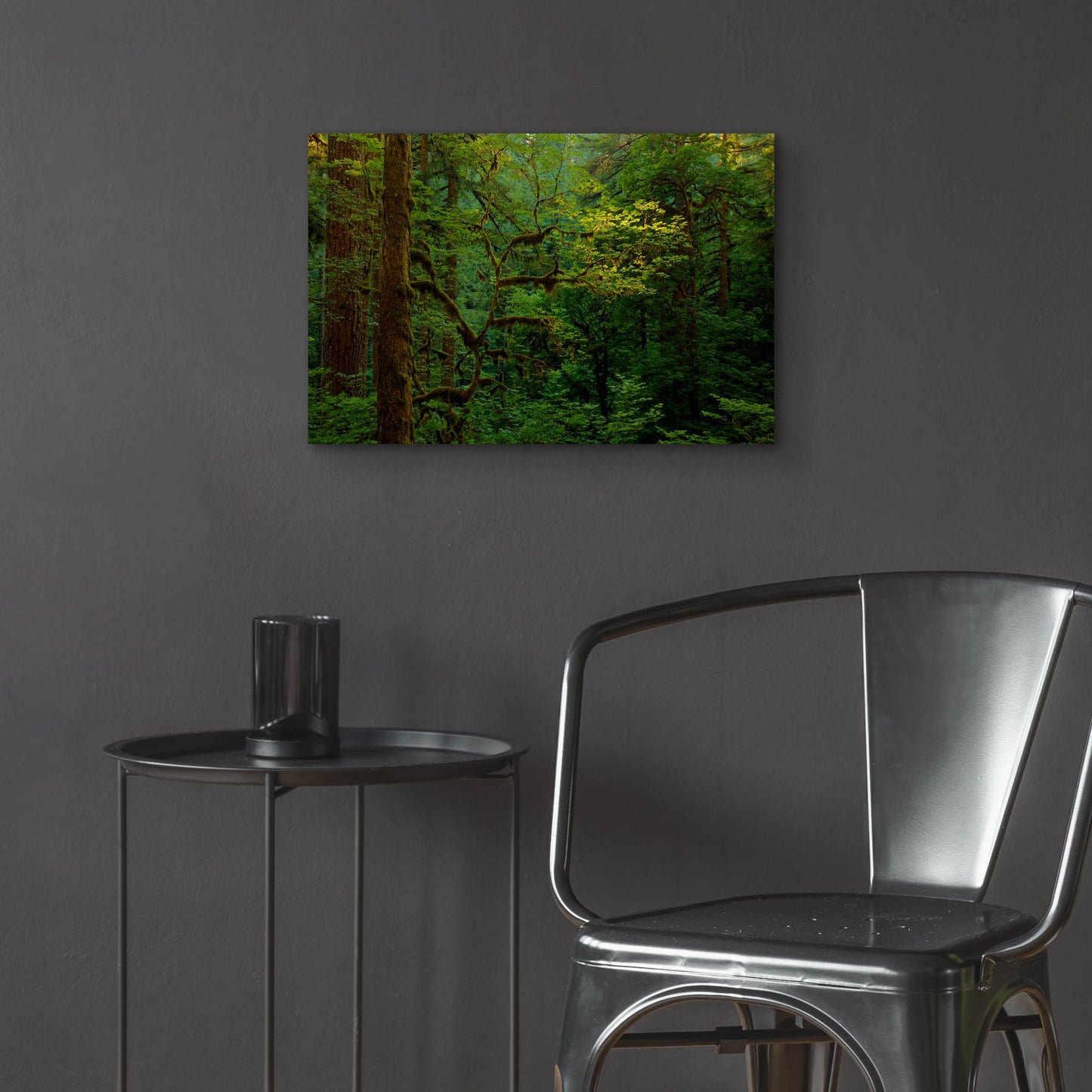 Epic Art 'Light In A Dark Forest' by Bill Sherrell, Acrylic Glass Wall Art,24x16