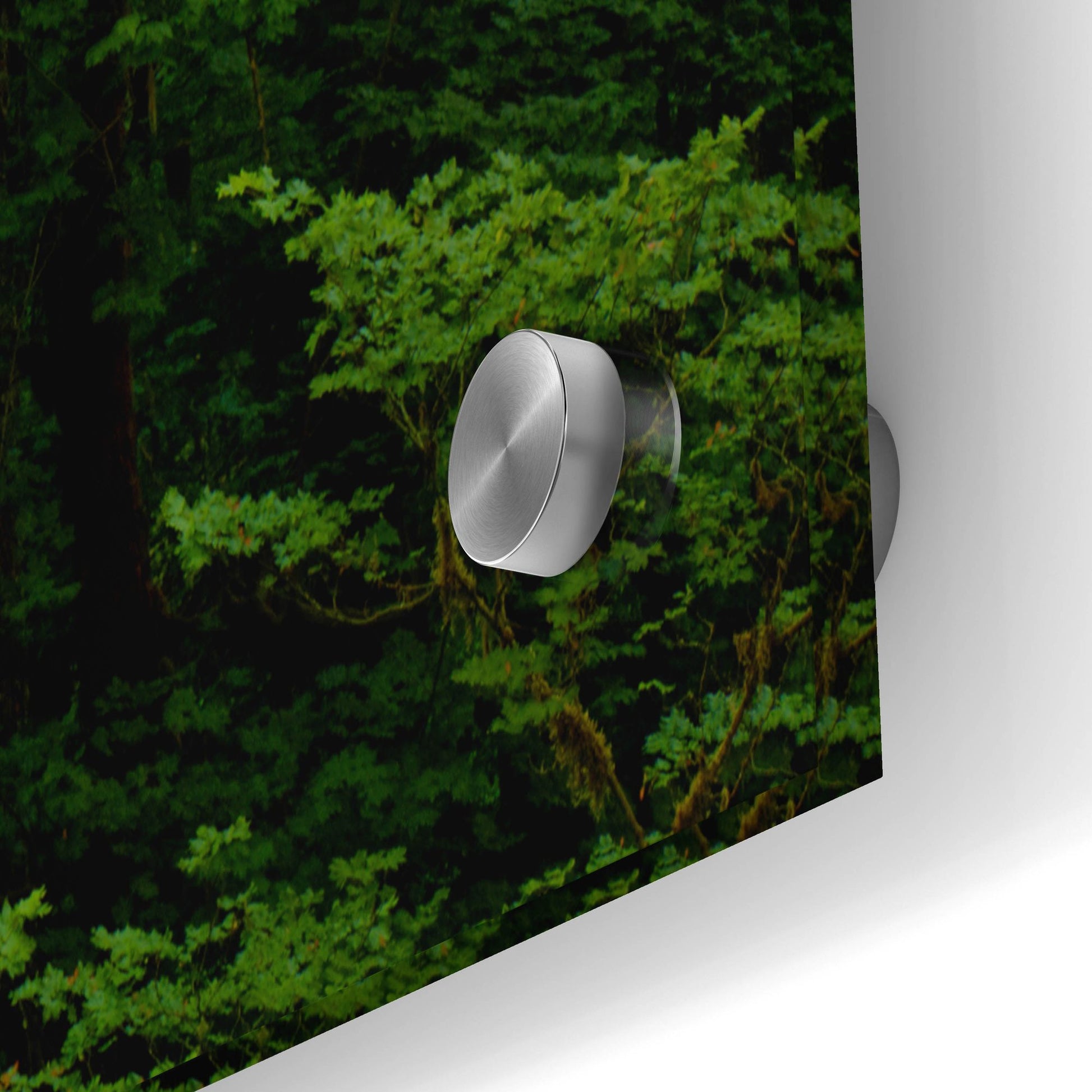 Epic Art 'Light In A Dark Forest' by Bill Sherrell, Acrylic Glass Wall Art,36x24