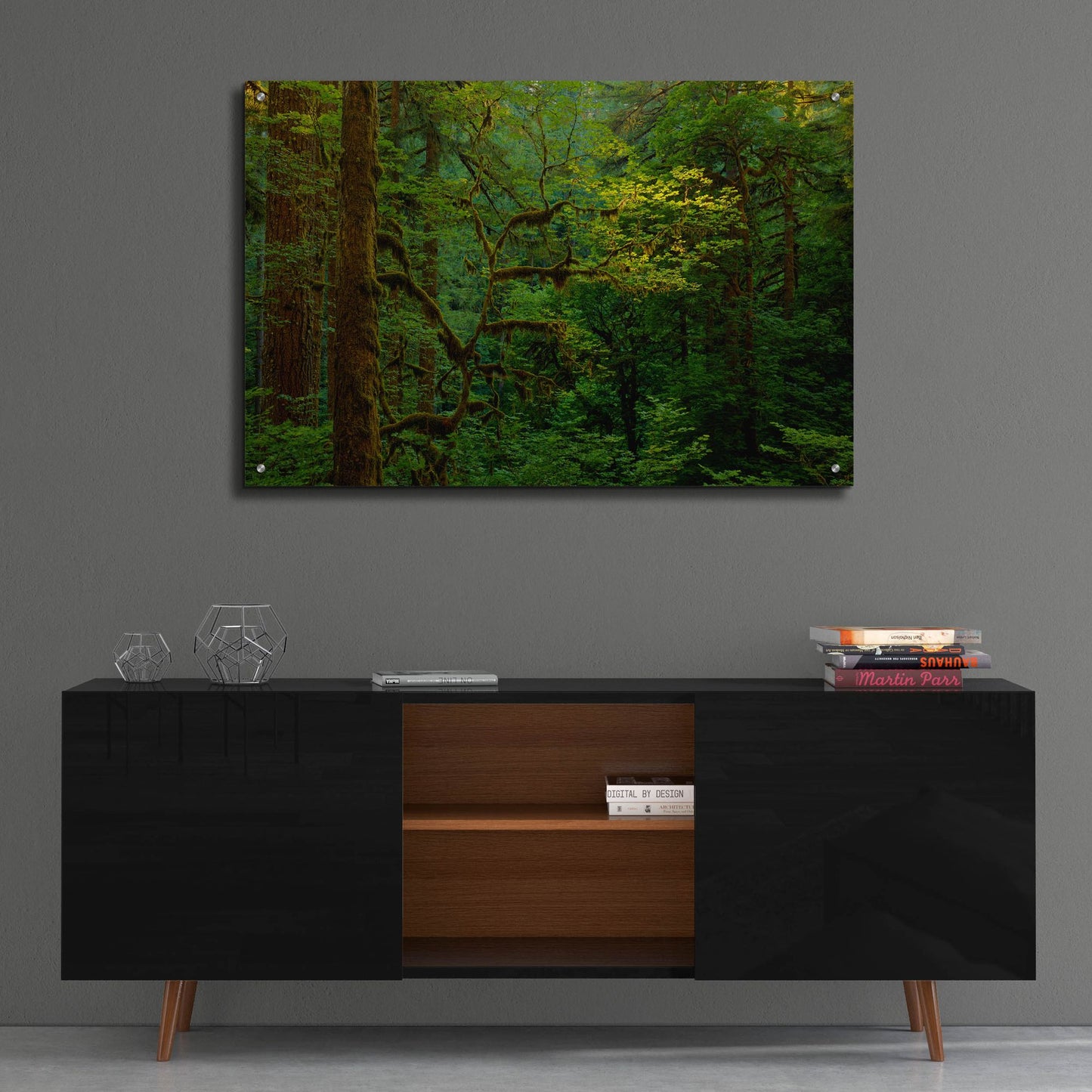 Epic Art 'Light In A Dark Forest' by Bill Sherrell, Acrylic Glass Wall Art,36x24