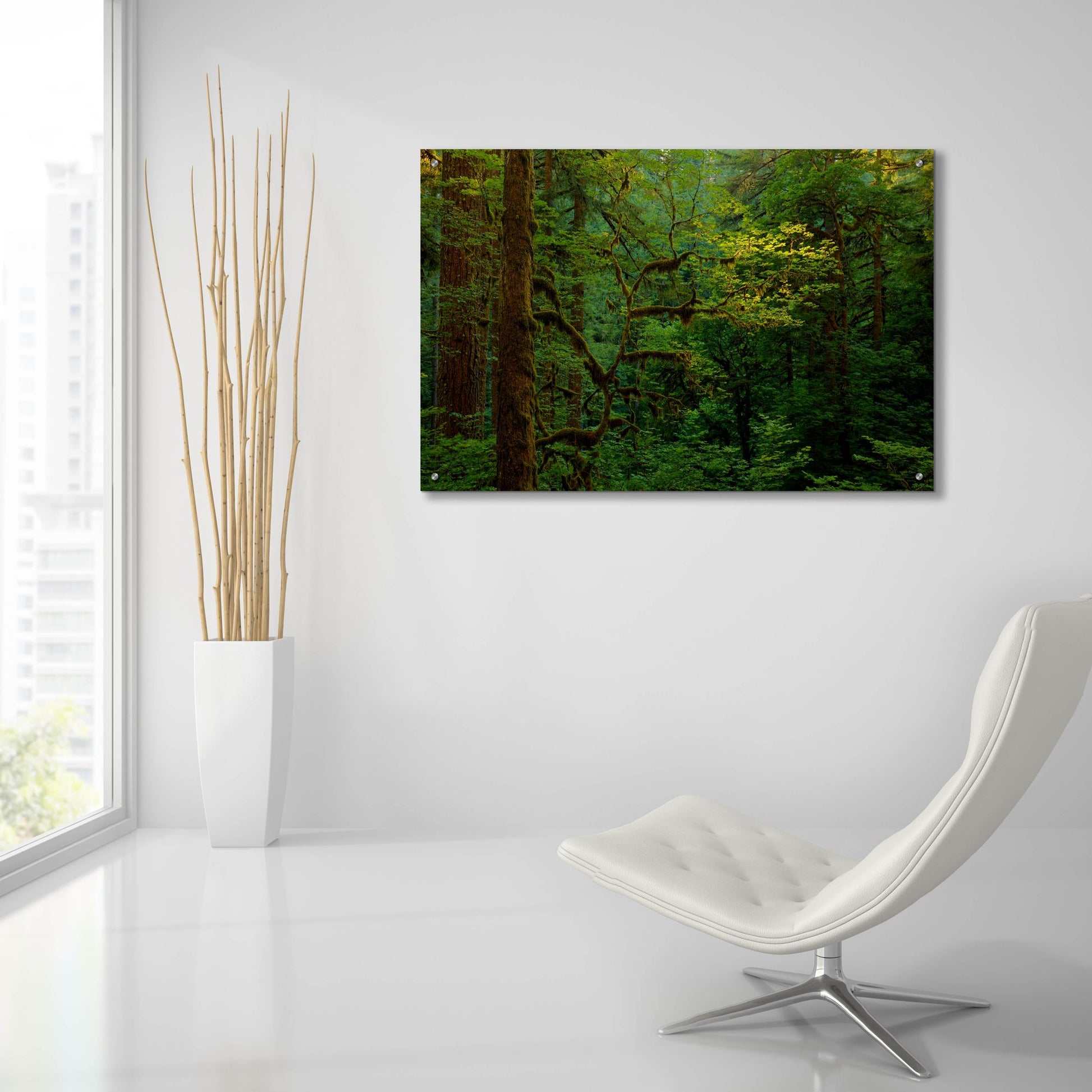 Epic Art 'Light In A Dark Forest' by Bill Sherrell, Acrylic Glass Wall Art,36x24