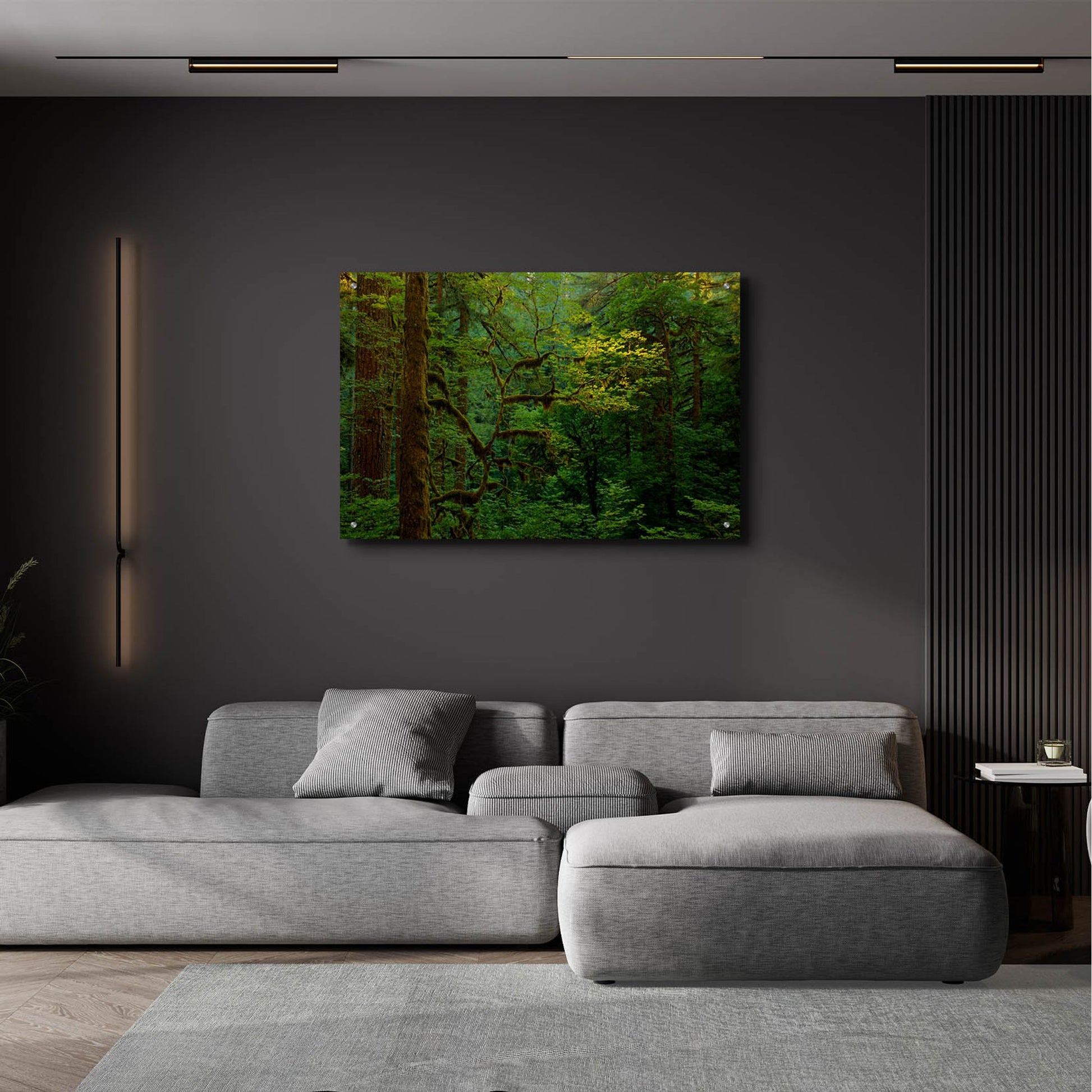 Epic Art 'Light In A Dark Forest' by Bill Sherrell, Acrylic Glass Wall Art,36x24