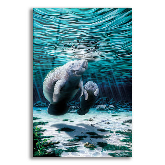 Epic Art 'Mermaids Of Crystal River' by Dann Spider Warren, Acrylic Glass Wall Art