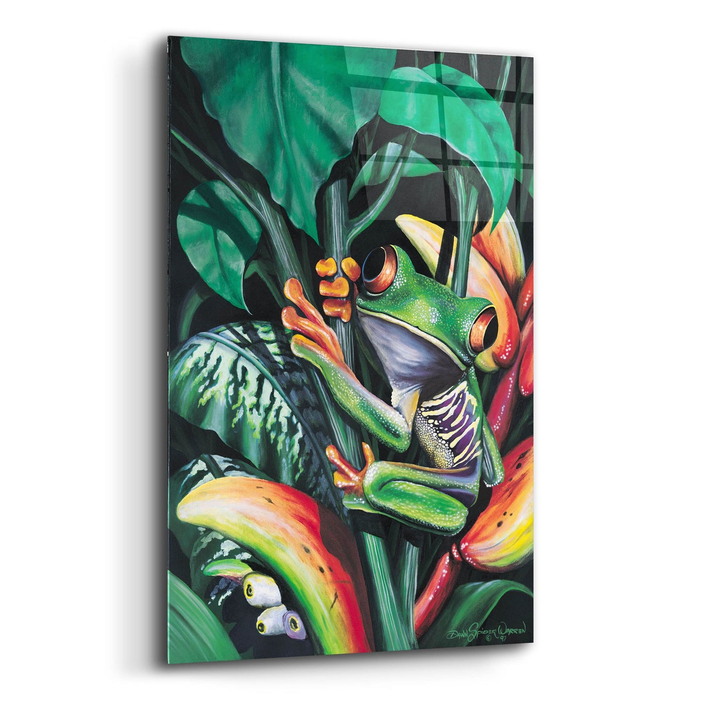 Epic Art 'Rainforest Prince' by Dann Spider Warren, Acrylic Glass Wall Art,12x16