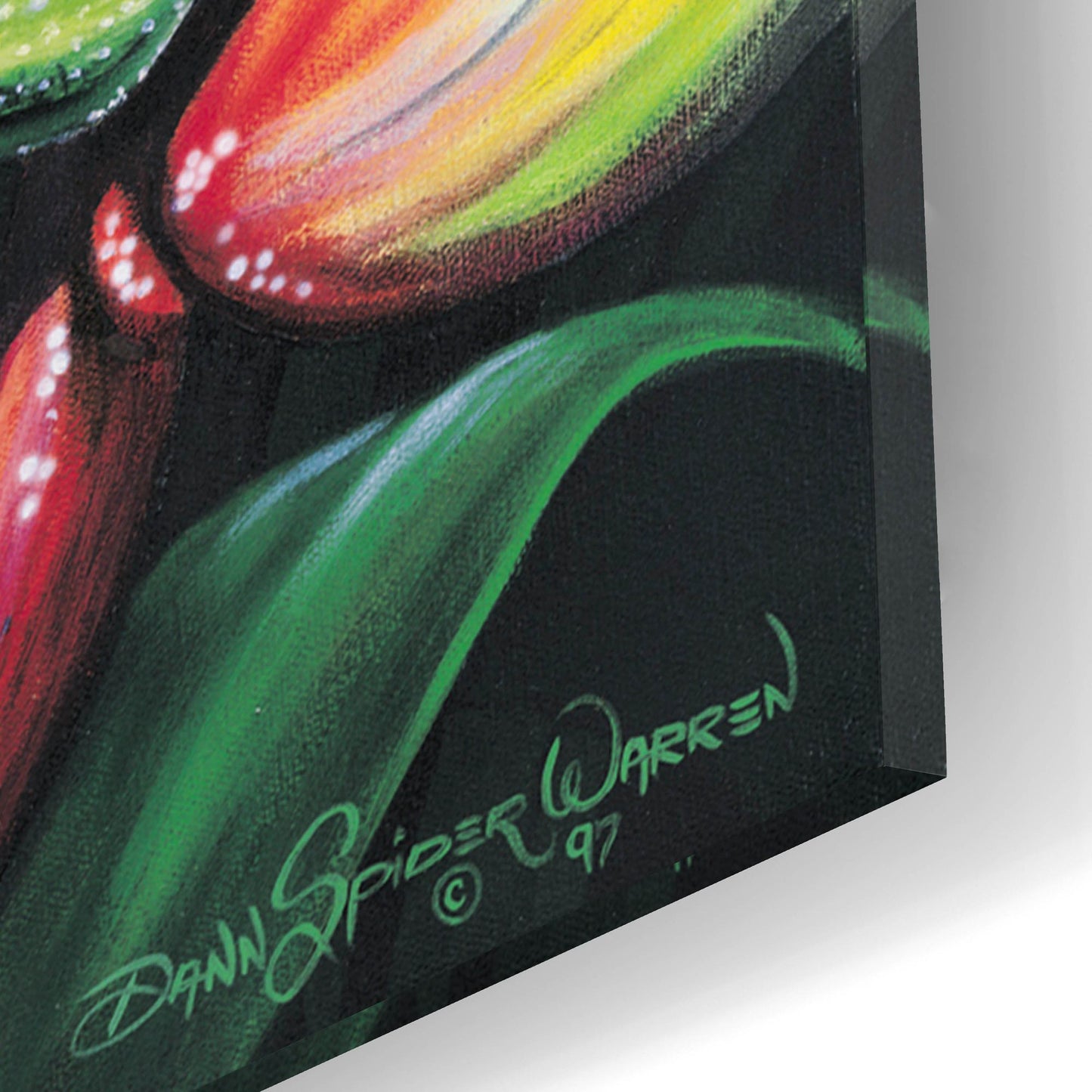 Epic Art 'Rainforest Prince' by Dann Spider Warren, Acrylic Glass Wall Art,12x16