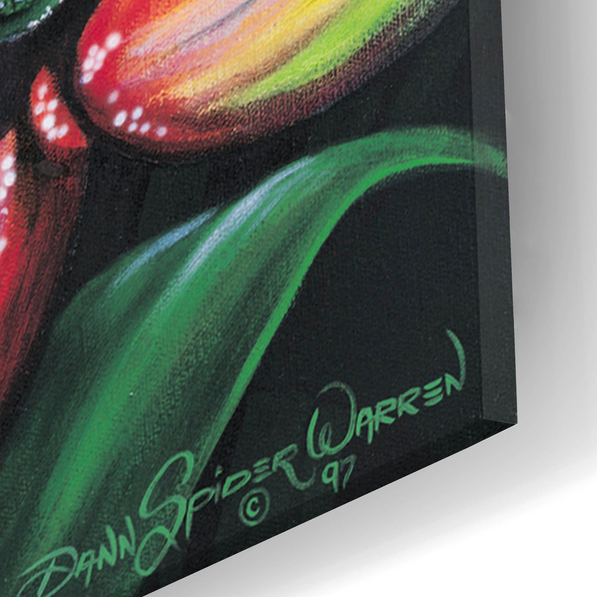 Epic Art 'Rainforest Prince' by Dann Spider Warren, Acrylic Glass Wall Art,16x24