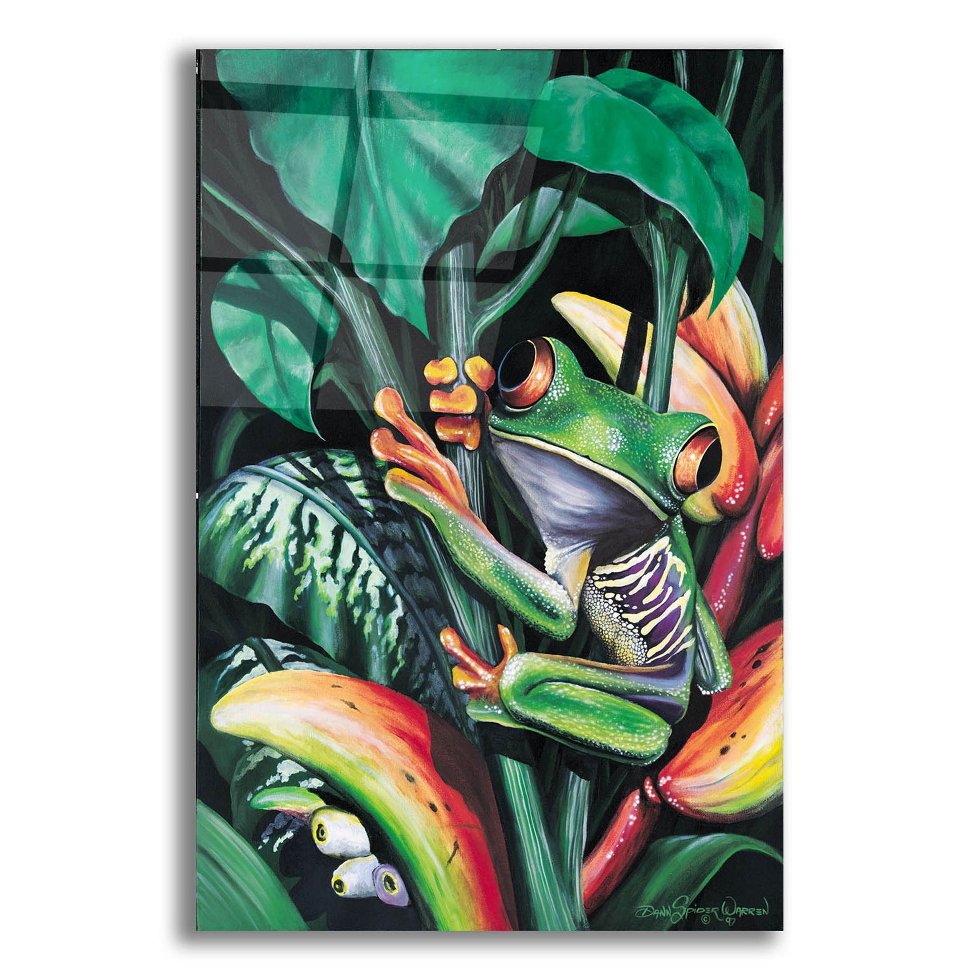 Epic Art 'Rainforest Prince' by Dann Spider Warren, Acrylic Glass Wall Art