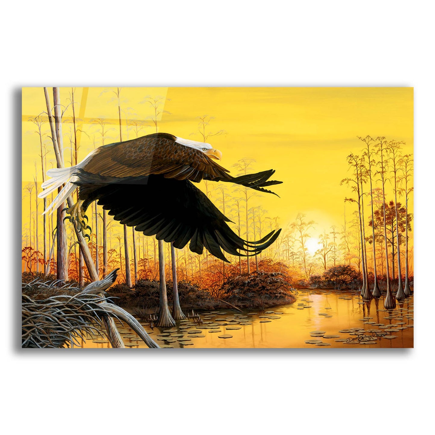 Epic Art 'Majestic Morning' by Dann Spider Warren, Acrylic Glass Wall Art,24x16