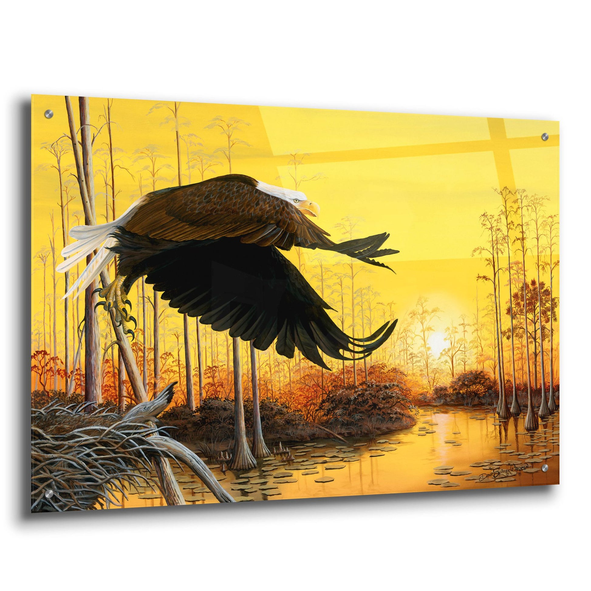 Epic Art 'Majestic Morning' by Dann Spider Warren, Acrylic Glass Wall Art,36x24