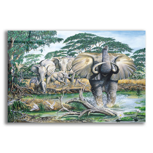 Epic Art 'Unrest On The Serengeti' by Dann Spider Warren, Acrylic Glass Wall Art
