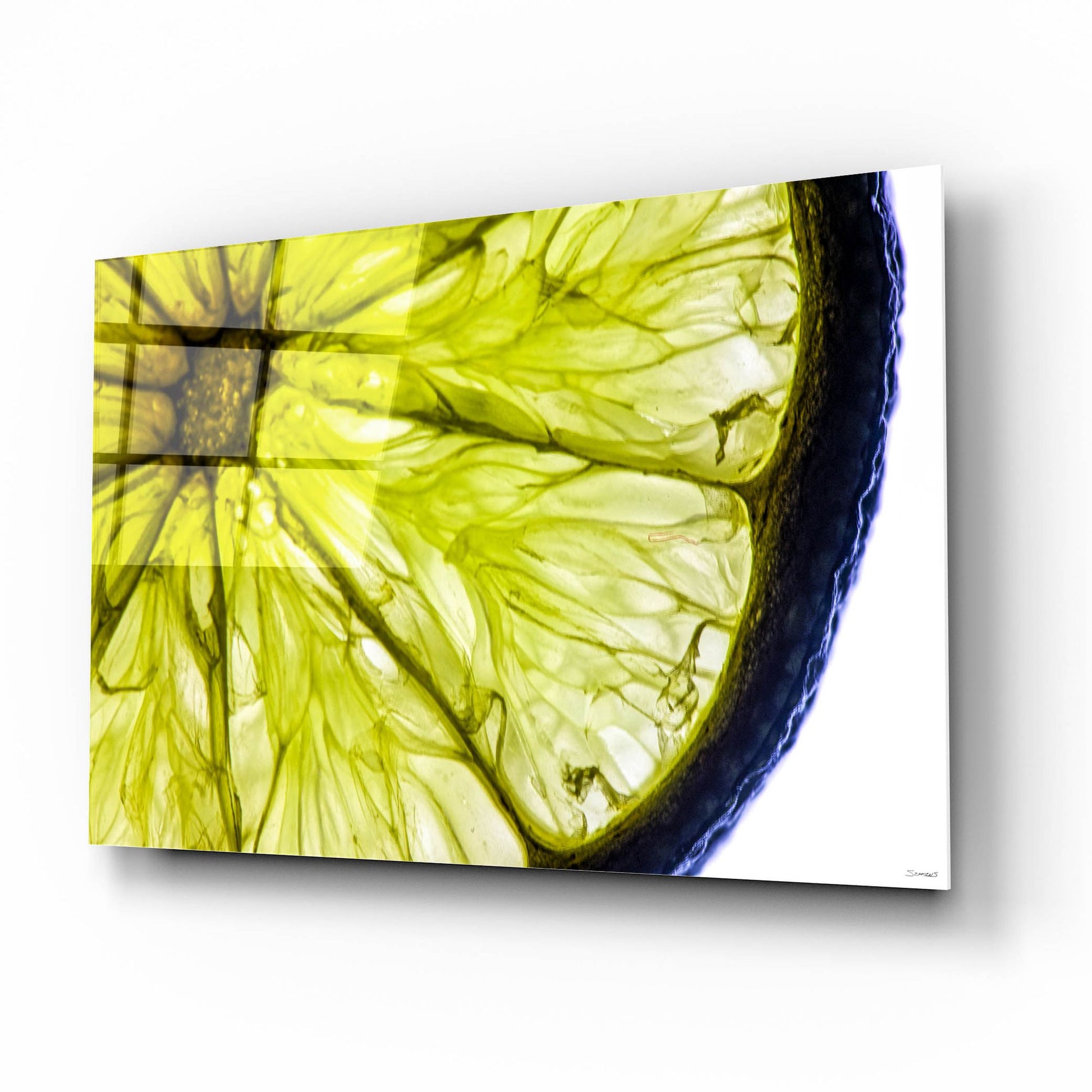 Epic Art 'Fruit Macros 04' by Gordon Semmens, Acrylic Glass Wall Art,16x12