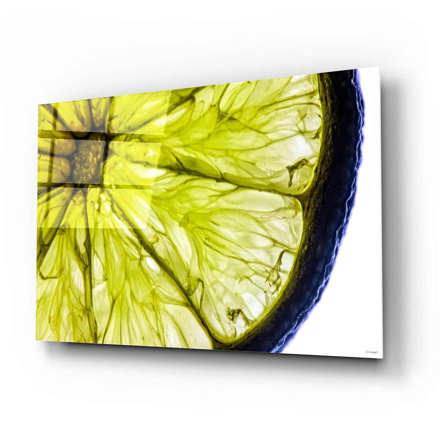 Epic Art 'Fruit Macros 04' by Gordon Semmens, Acrylic Glass Wall Art,24x16