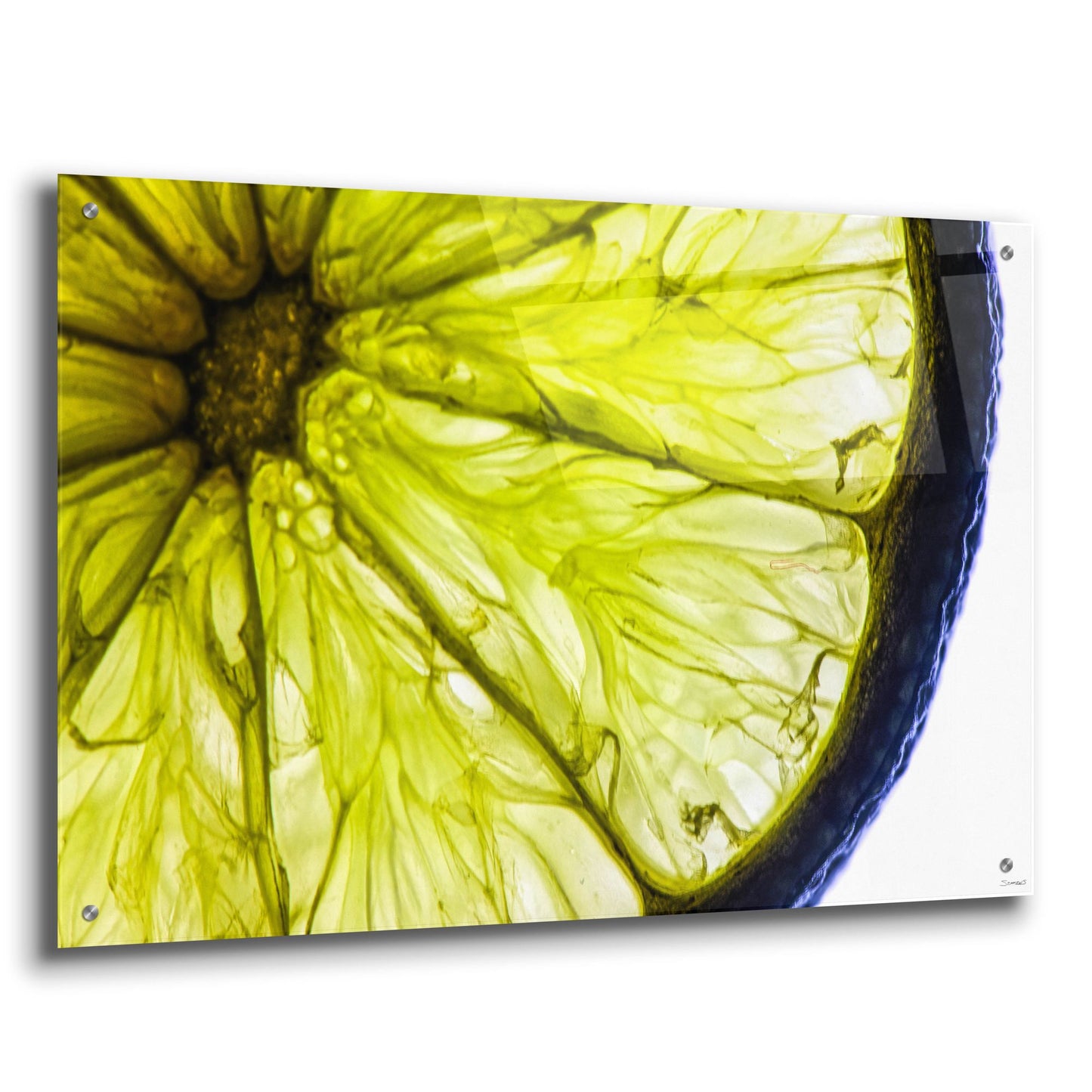 Epic Art 'Fruit Macros 04' by Gordon Semmens, Acrylic Glass Wall Art,36x24