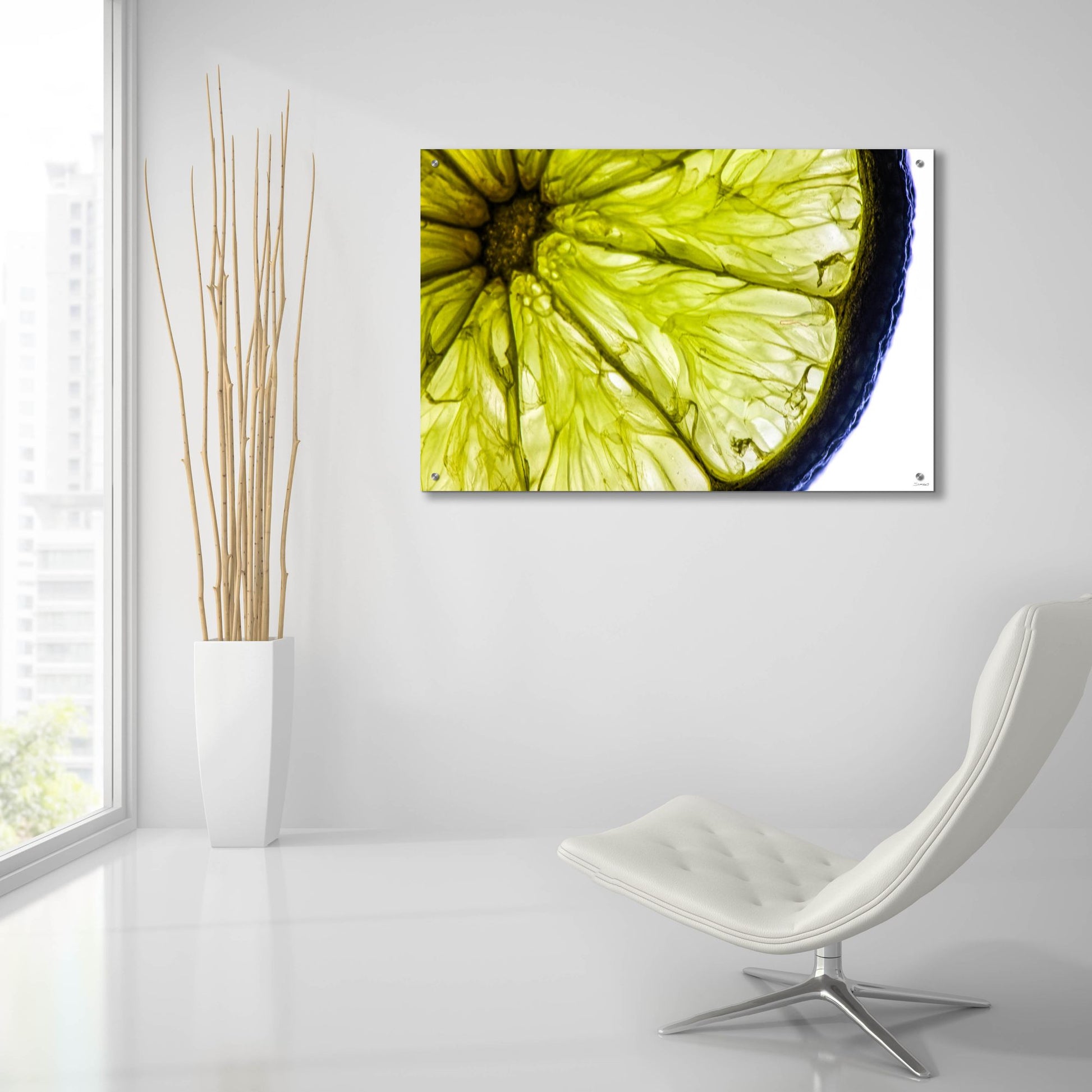 Epic Art 'Fruit Macros 04' by Gordon Semmens, Acrylic Glass Wall Art,36x24