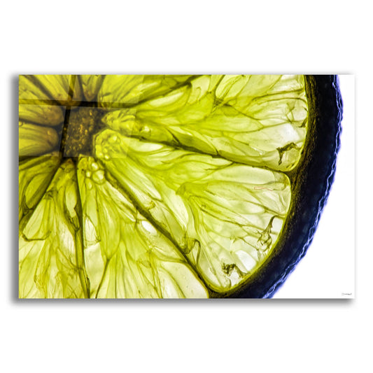 Epic Art 'Fruit Macros 04' by Gordon Semmens, Acrylic Glass Wall Art