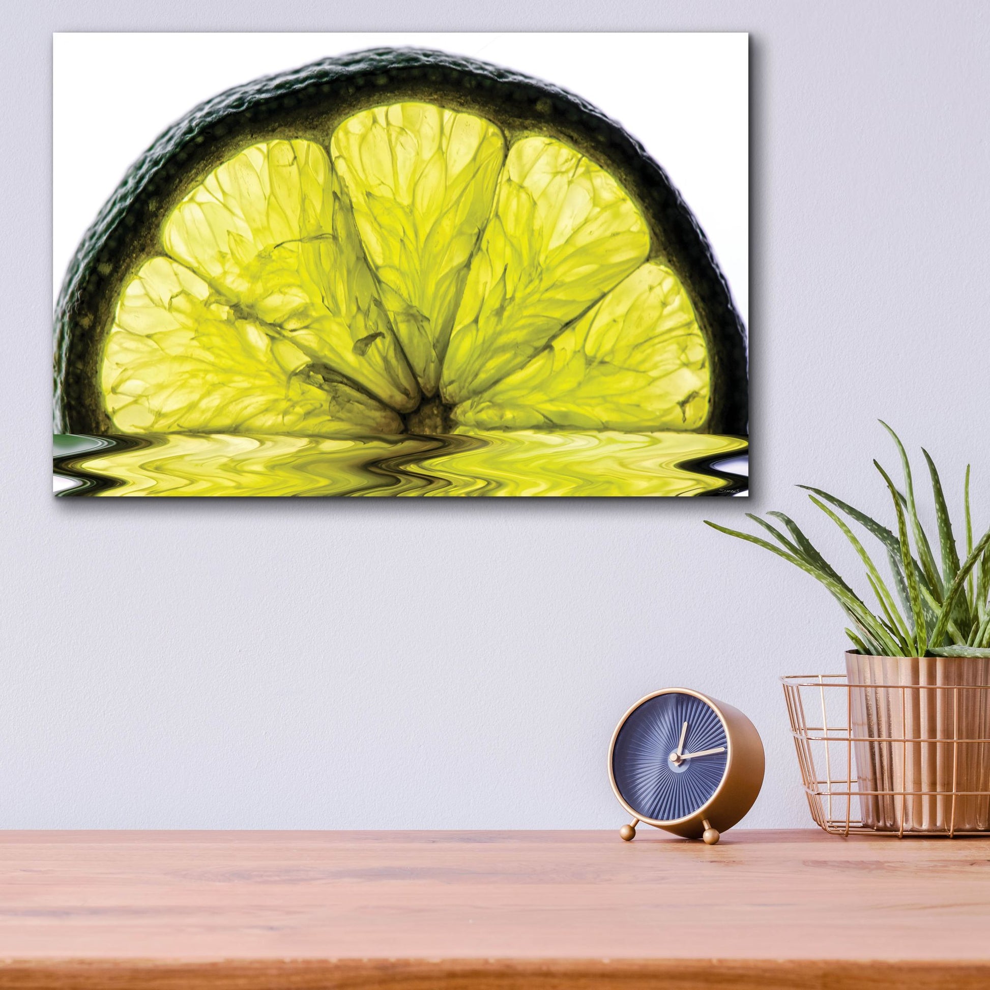 Epic Art 'Fruit Macros 09' by Gordon Semmens, Acrylic Glass Wall Art,16x12