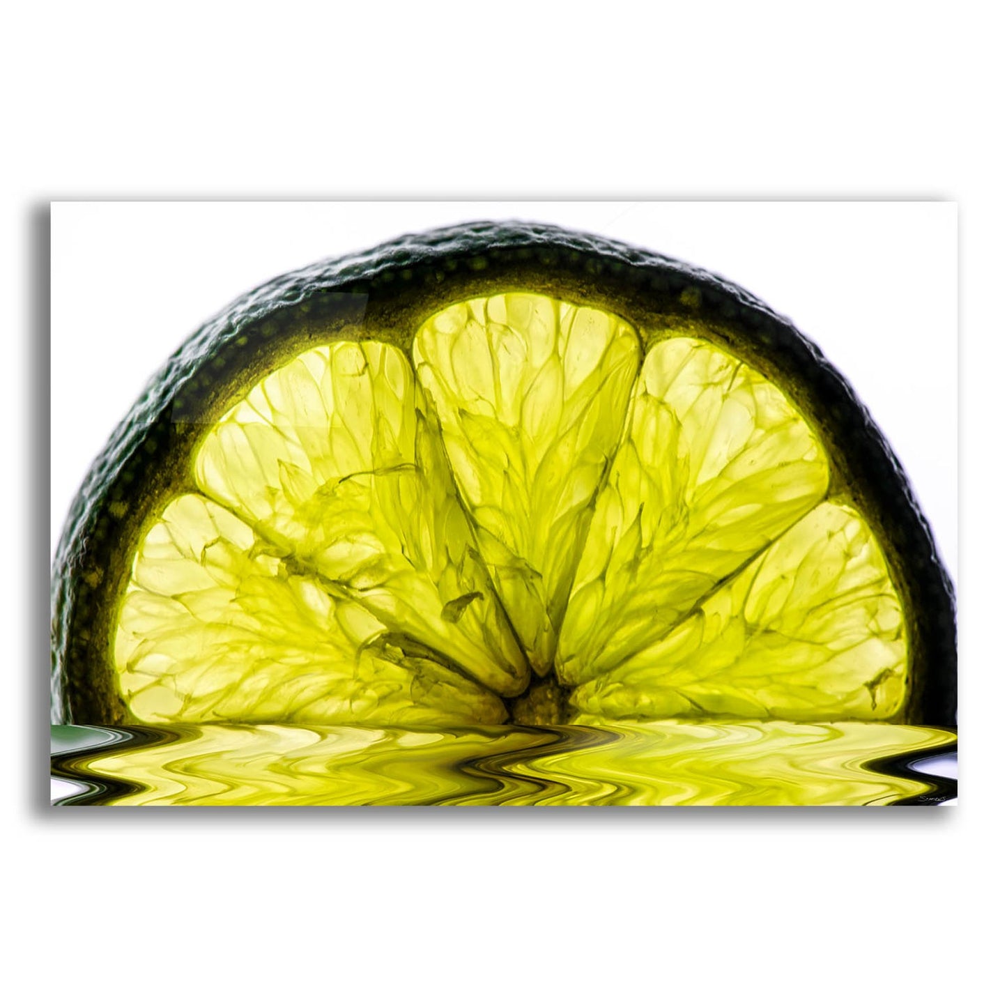 Epic Art 'Fruit Macros 09' by Gordon Semmens, Acrylic Glass Wall Art,24x16