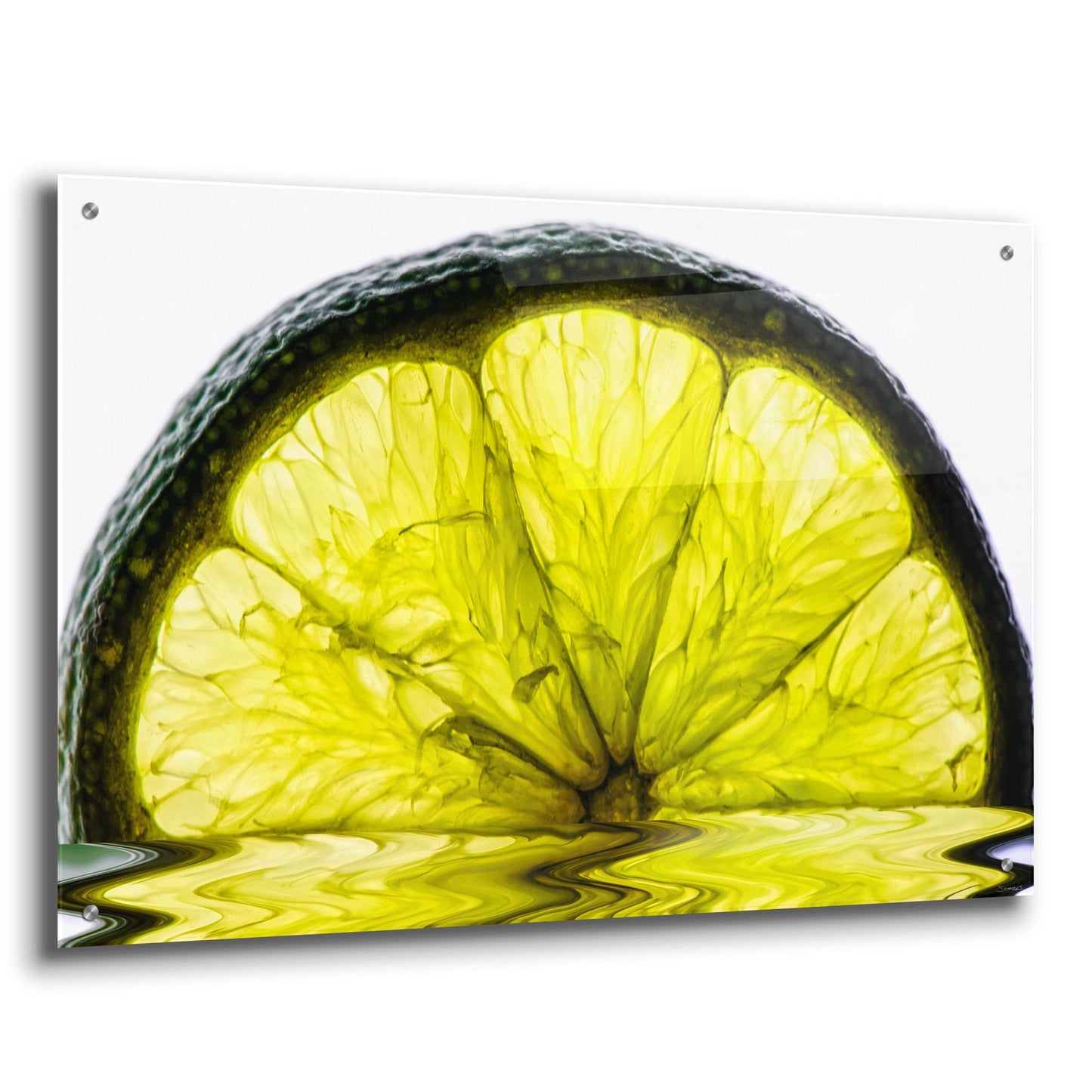 Epic Art 'Fruit Macros 09' by Gordon Semmens, Acrylic Glass Wall Art,36x24