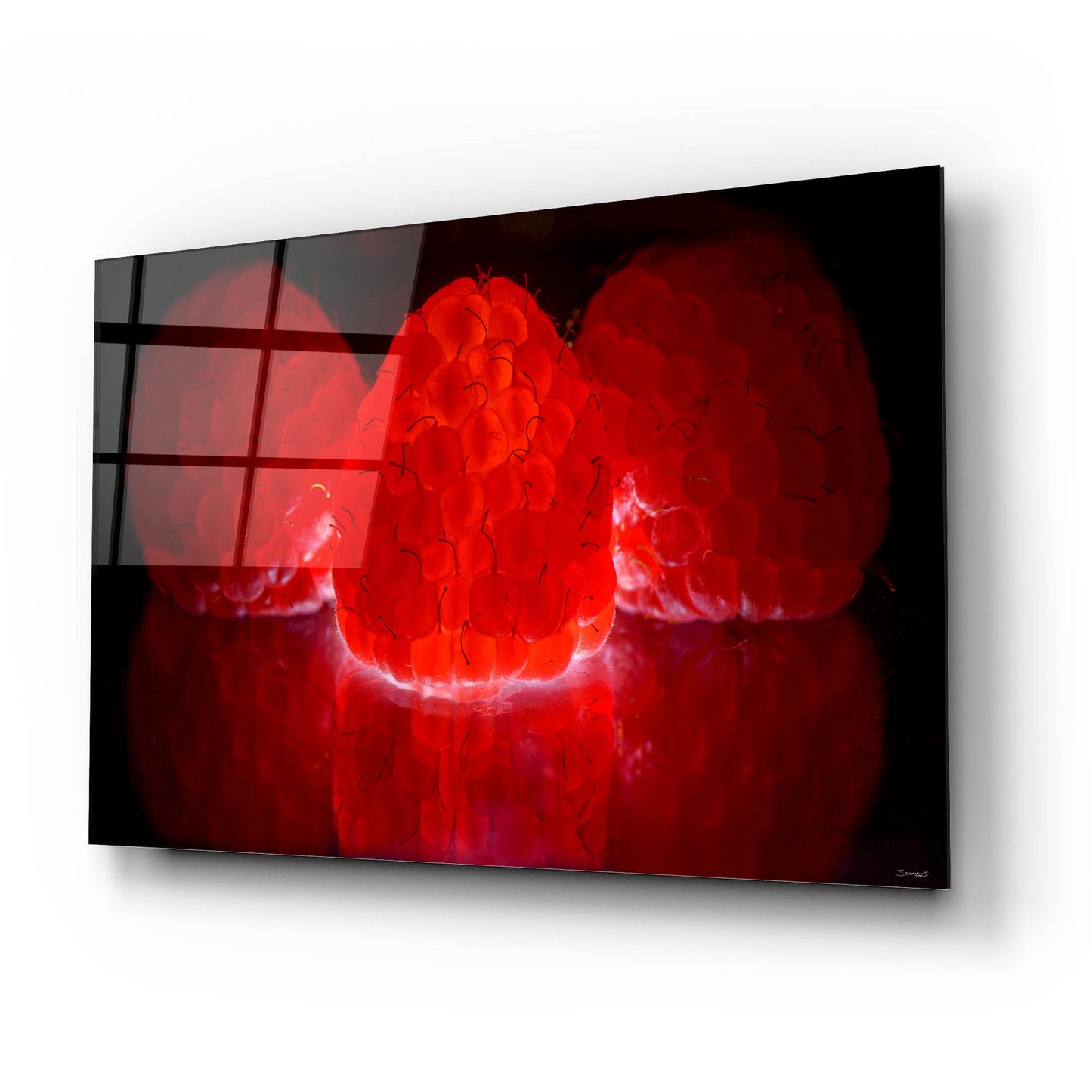 Epic Art 'Fruit Macros 15' by Gordon Semmens, Acrylic Glass Wall Art,24x16