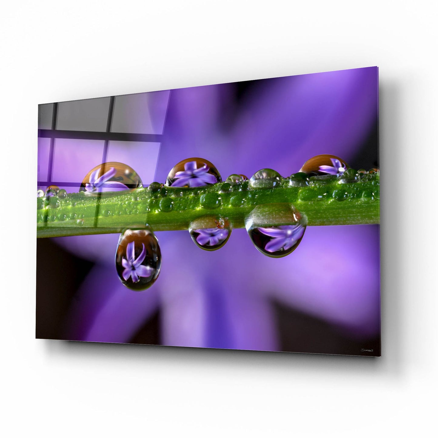 Epic Art 'Purple Hyacinths 01' by Gordon Semmens, Acrylic Glass Wall Art,16x12