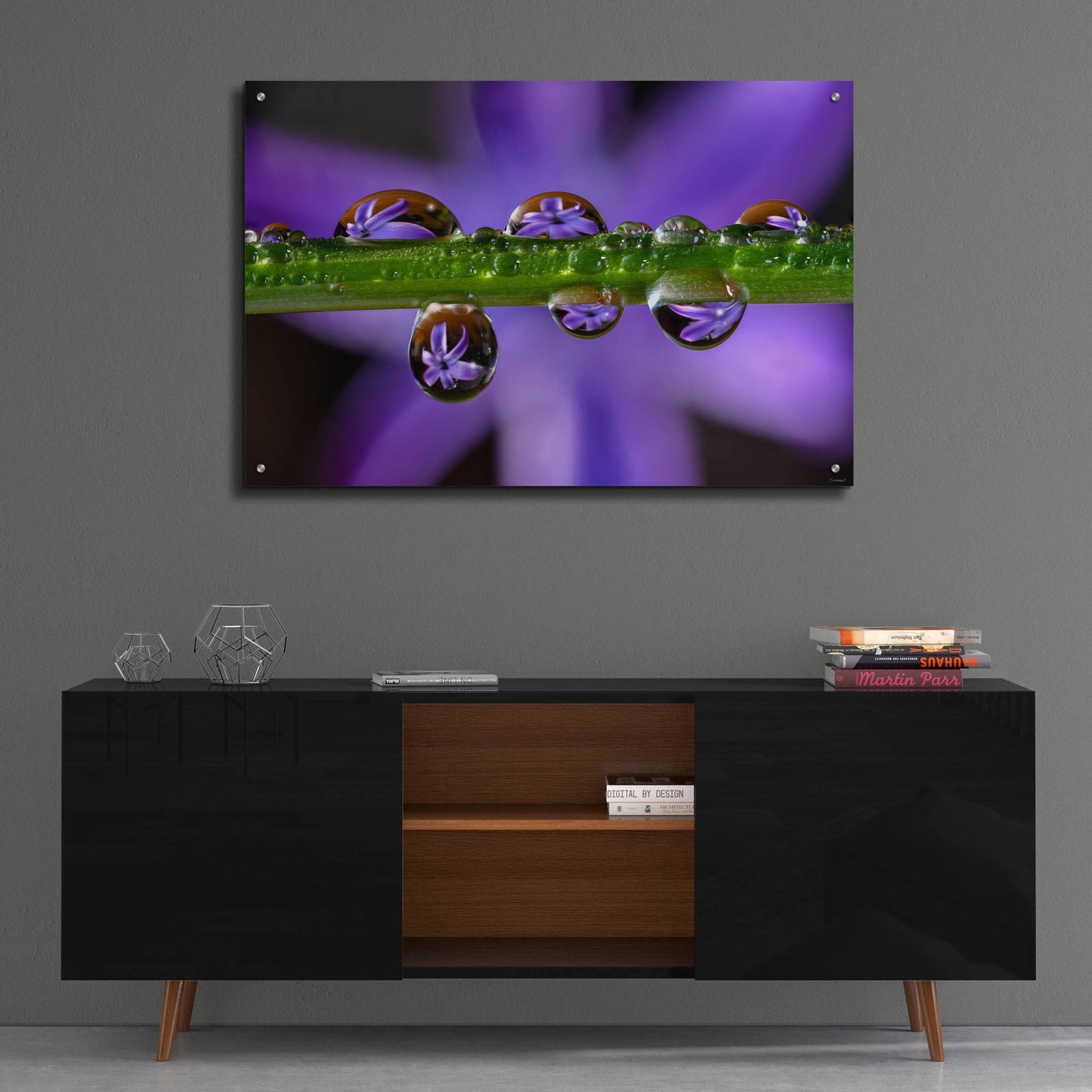 Epic Art 'Purple Hyacinths 01' by Gordon Semmens, Acrylic Glass Wall Art,36x24