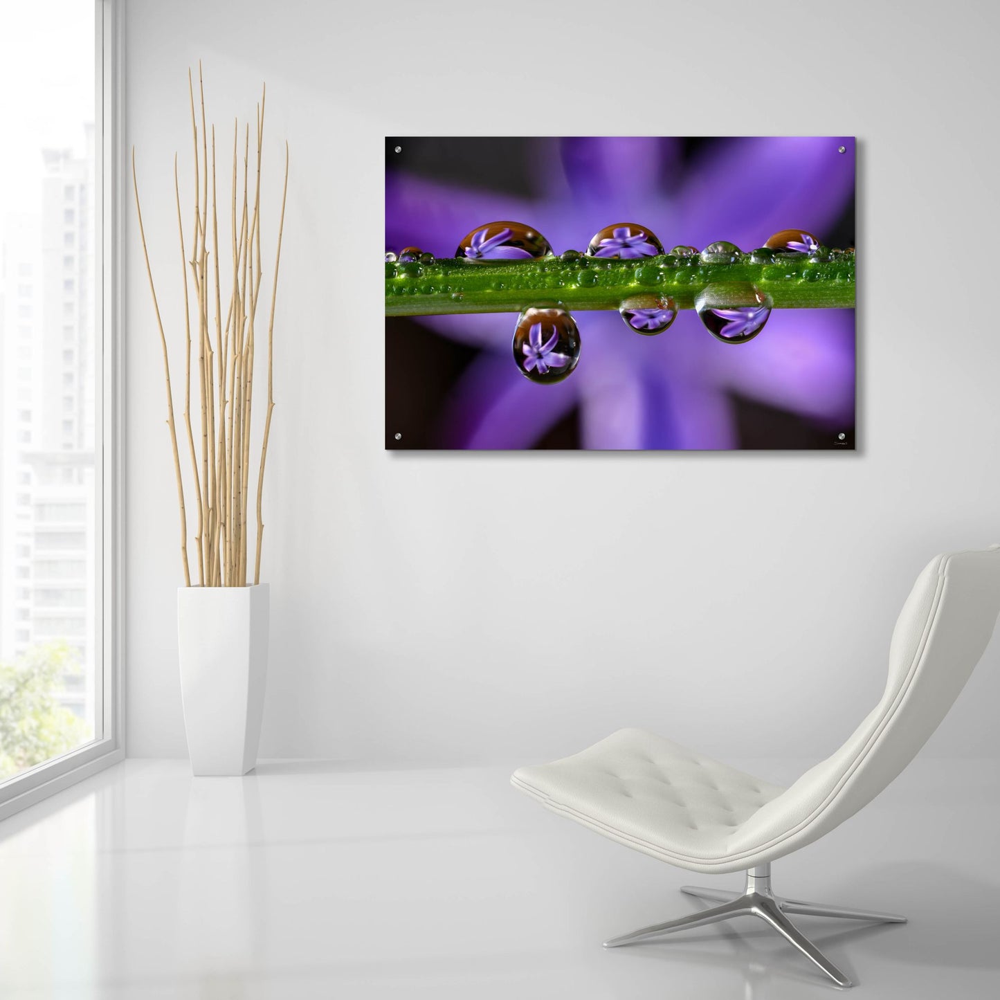 Epic Art 'Purple Hyacinths 01' by Gordon Semmens, Acrylic Glass Wall Art,36x24