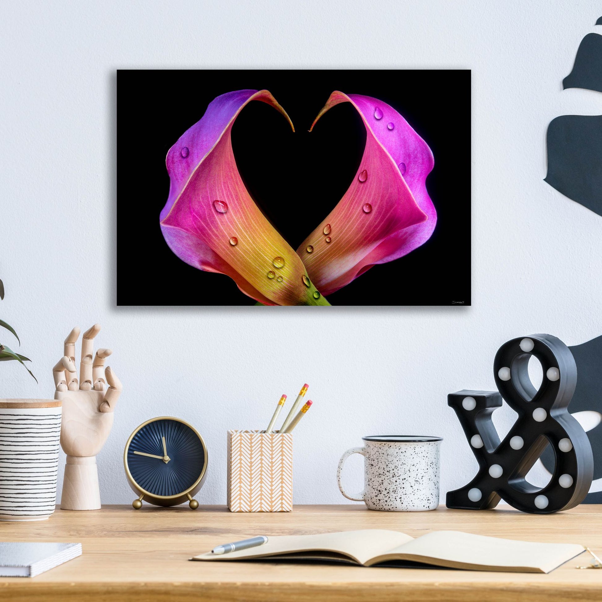 Epic Art 'Calla Lily 07' by Gordon Semmens, Acrylic Glass Wall Art,16x12