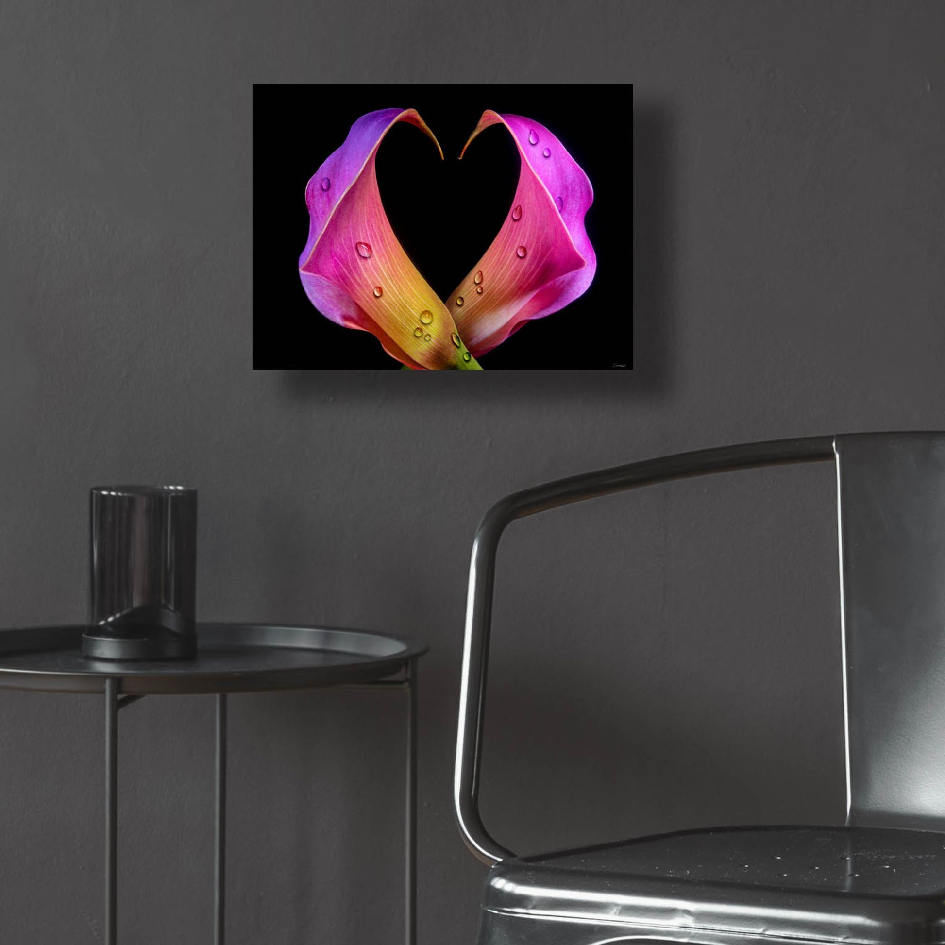 Epic Art 'Calla Lily 07' by Gordon Semmens, Acrylic Glass Wall Art,16x12