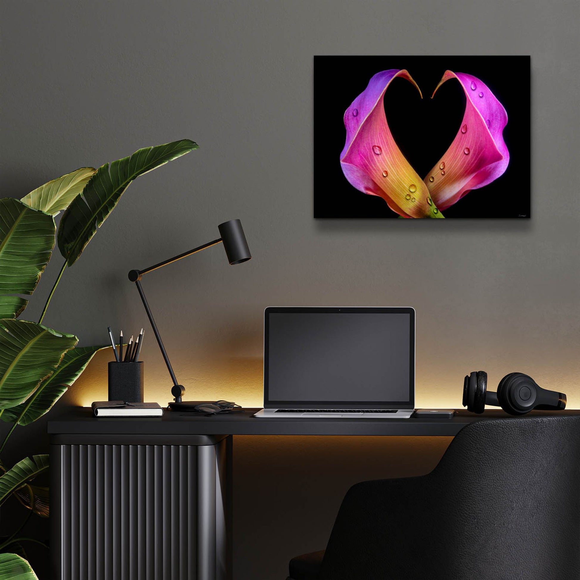 Epic Art 'Calla Lily 07' by Gordon Semmens, Acrylic Glass Wall Art,16x12