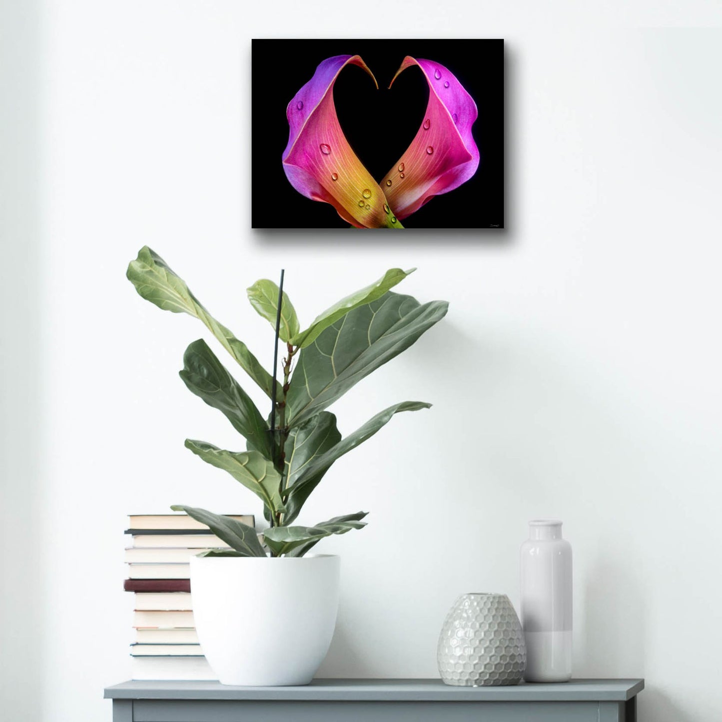 Epic Art 'Calla Lily 07' by Gordon Semmens, Acrylic Glass Wall Art,16x12