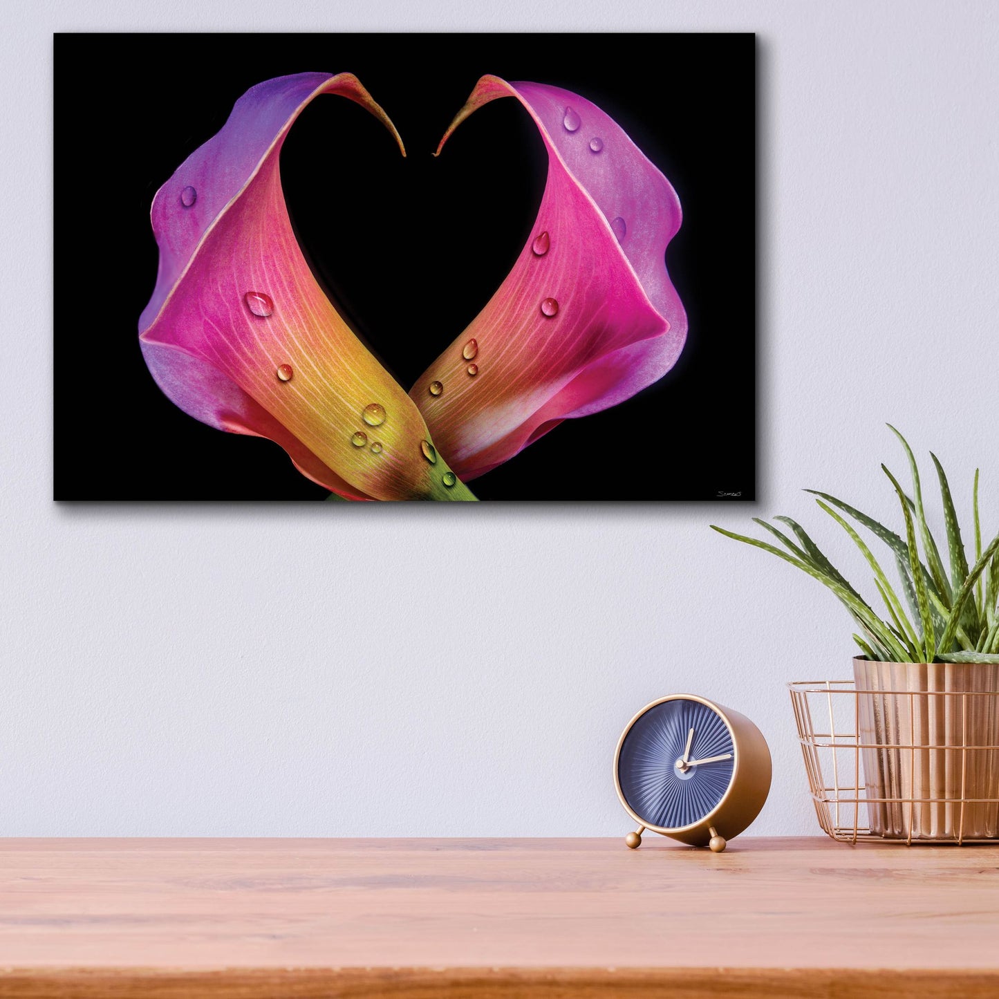 Epic Art 'Calla Lily 07' by Gordon Semmens, Acrylic Glass Wall Art,16x12