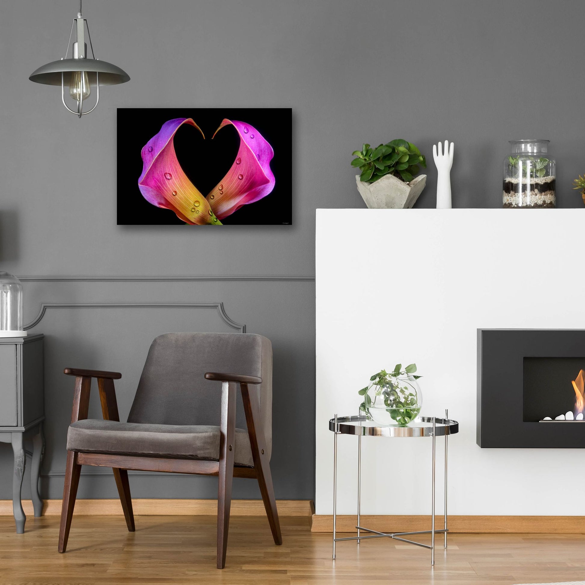 Epic Art 'Calla Lily 07' by Gordon Semmens, Acrylic Glass Wall Art,24x16