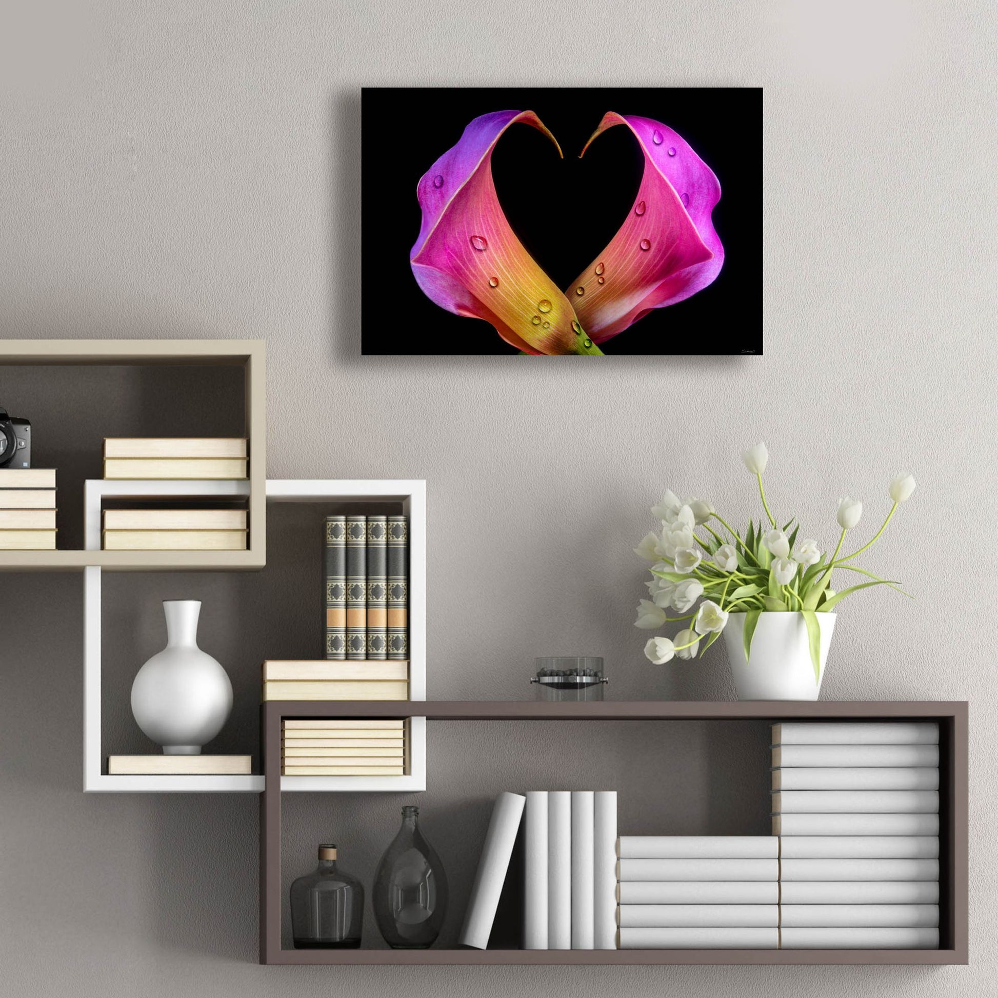 Epic Art 'Calla Lily 07' by Gordon Semmens, Acrylic Glass Wall Art,24x16