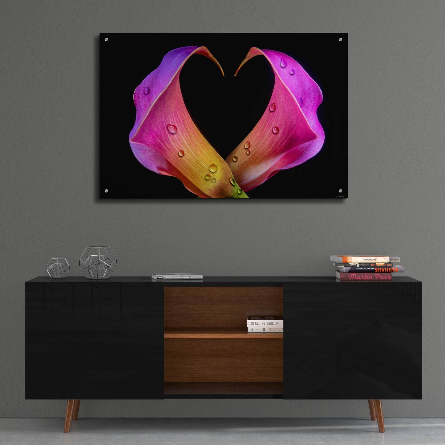 Epic Art 'Calla Lily 07' by Gordon Semmens, Acrylic Glass Wall Art,36x24