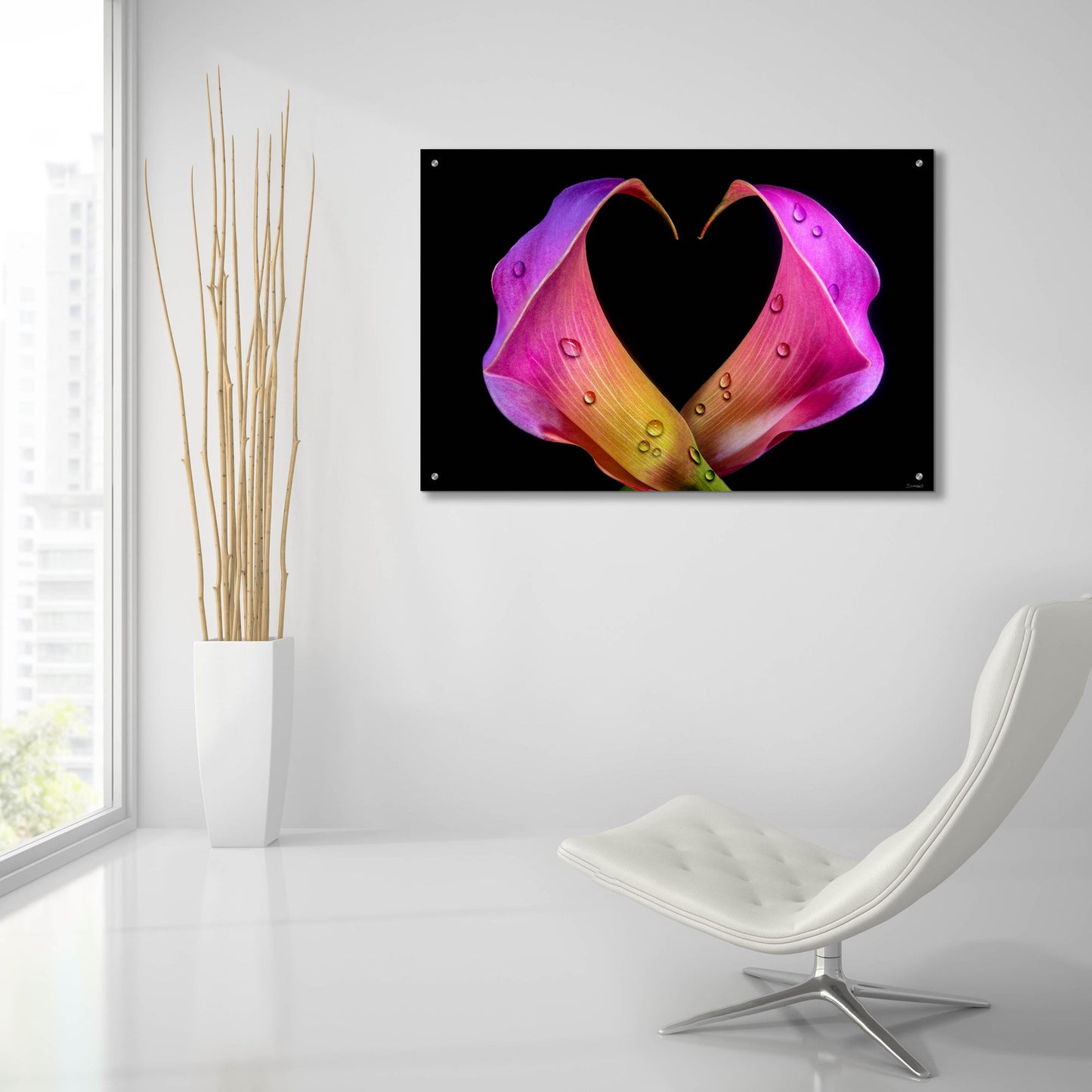 Epic Art 'Calla Lily 07' by Gordon Semmens, Acrylic Glass Wall Art,36x24