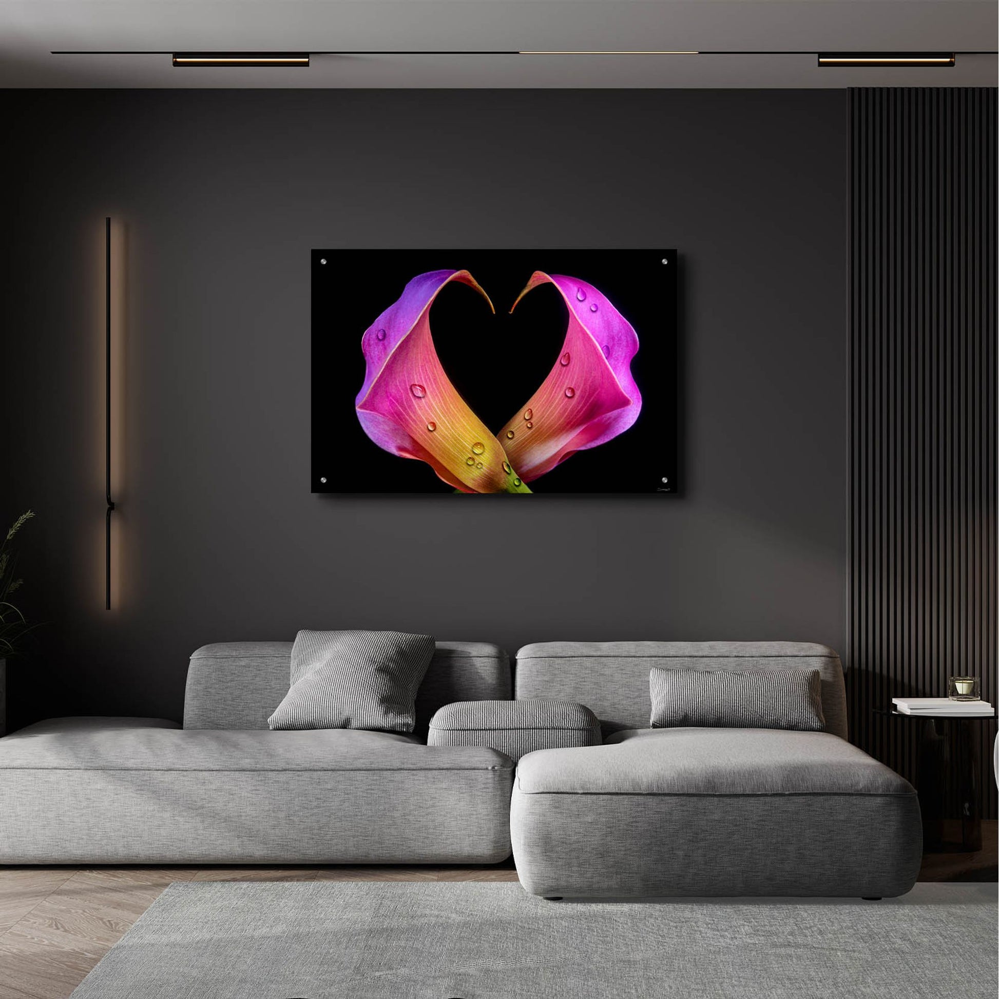 Epic Art 'Calla Lily 07' by Gordon Semmens, Acrylic Glass Wall Art,36x24