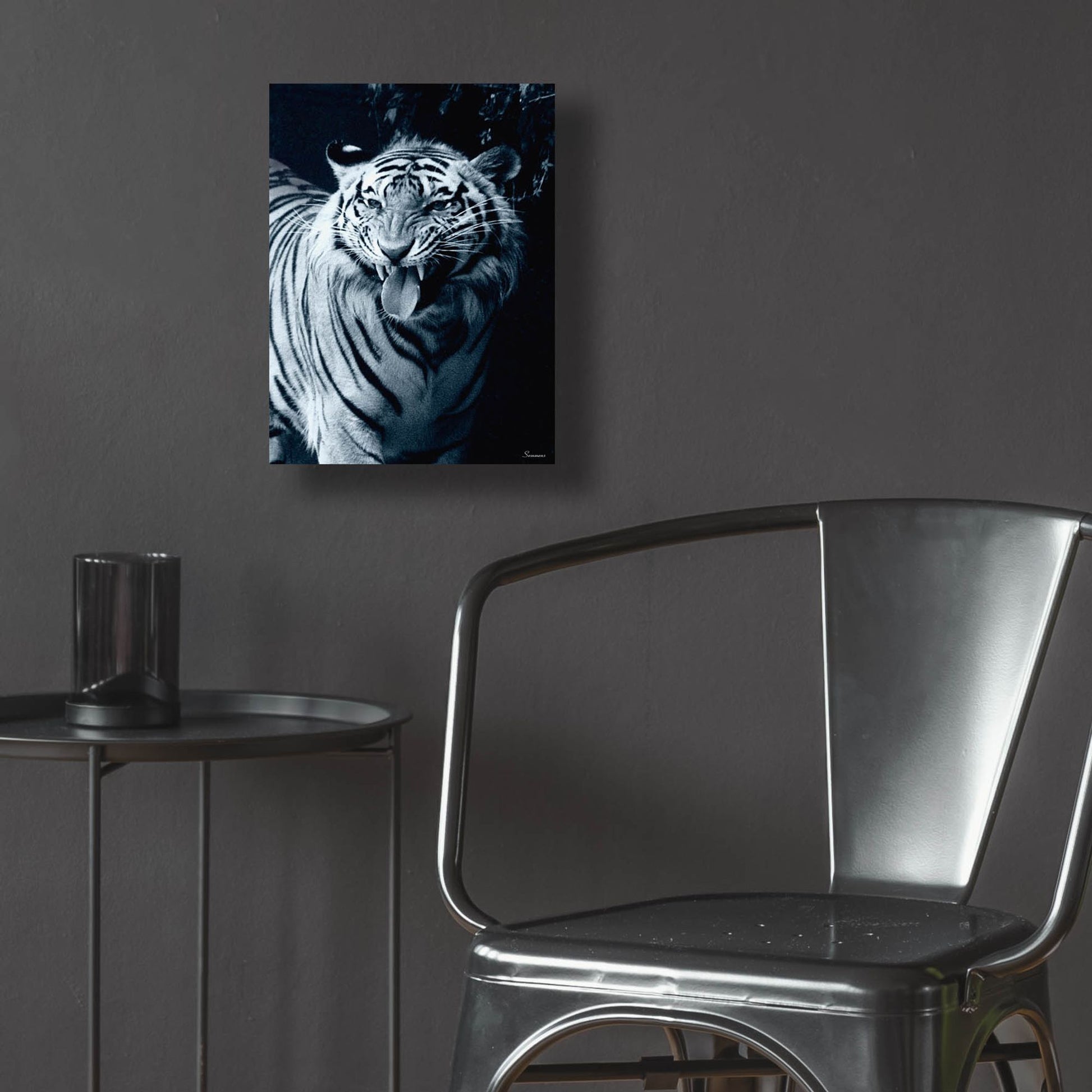 Epic Art 'White Tiger 2' by Gordon Semmens, Acrylic Glass Wall Art,12x16