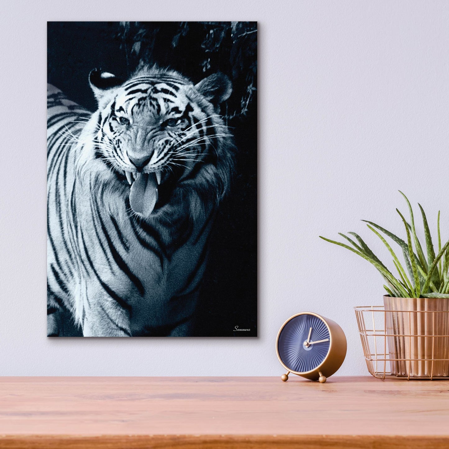 Epic Art 'White Tiger 2' by Gordon Semmens, Acrylic Glass Wall Art,12x16