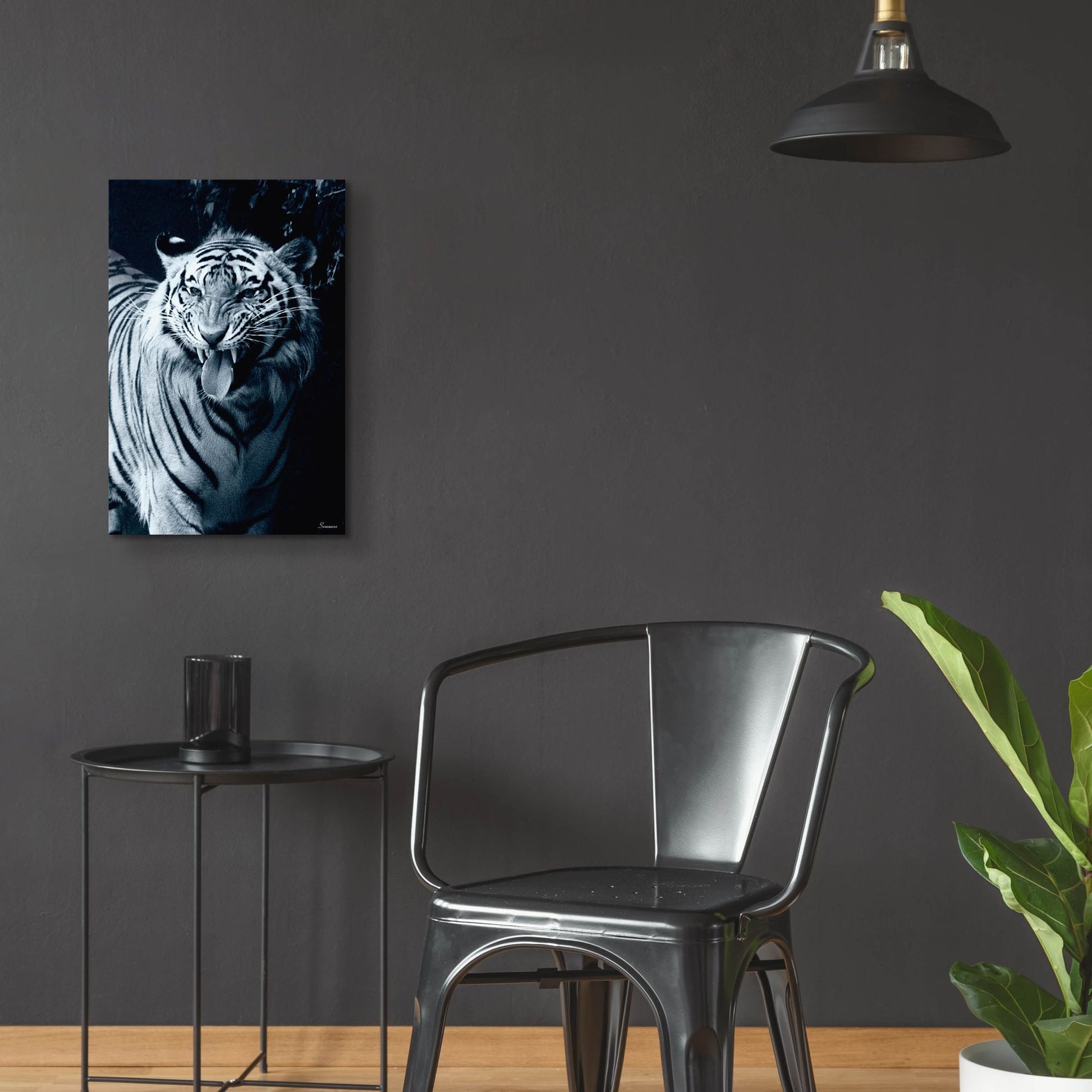 Epic Art 'White Tiger 2' by Gordon Semmens, Acrylic Glass Wall Art,16x24