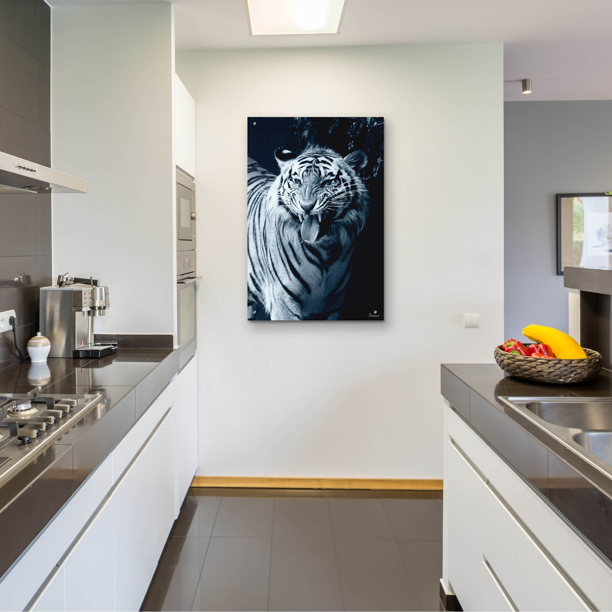 Epic Art 'White Tiger 2' by Gordon Semmens, Acrylic Glass Wall Art,24x36