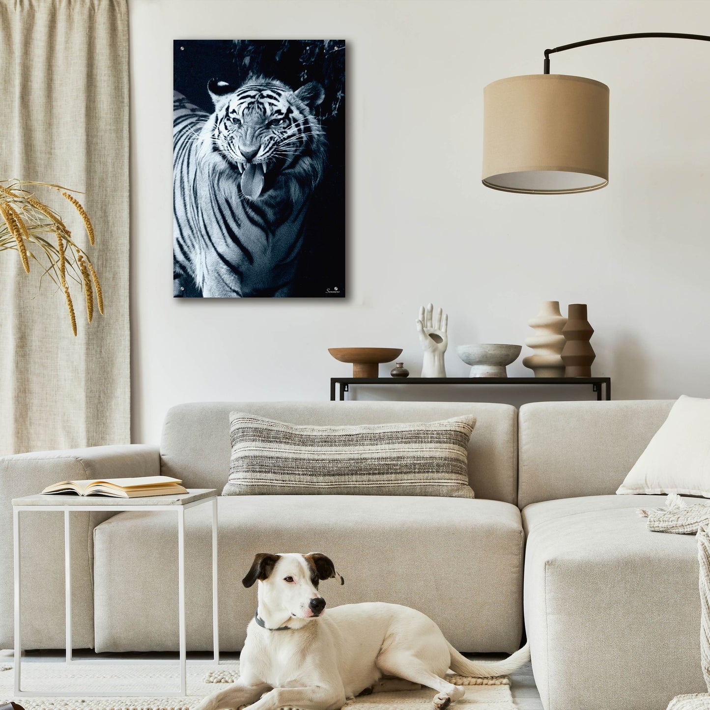 Epic Art 'White Tiger 2' by Gordon Semmens, Acrylic Glass Wall Art,24x36