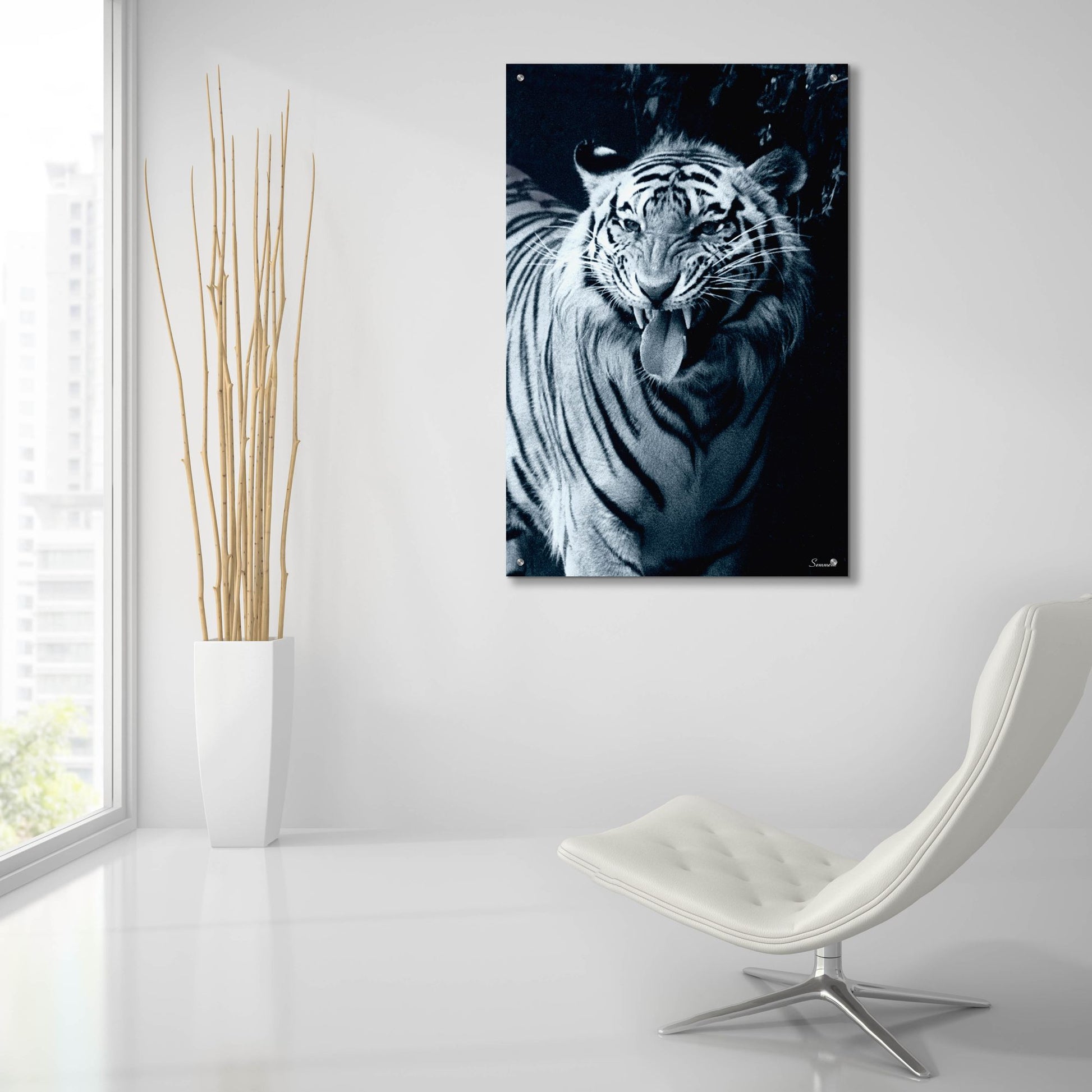 Epic Art 'White Tiger 2' by Gordon Semmens, Acrylic Glass Wall Art,24x36