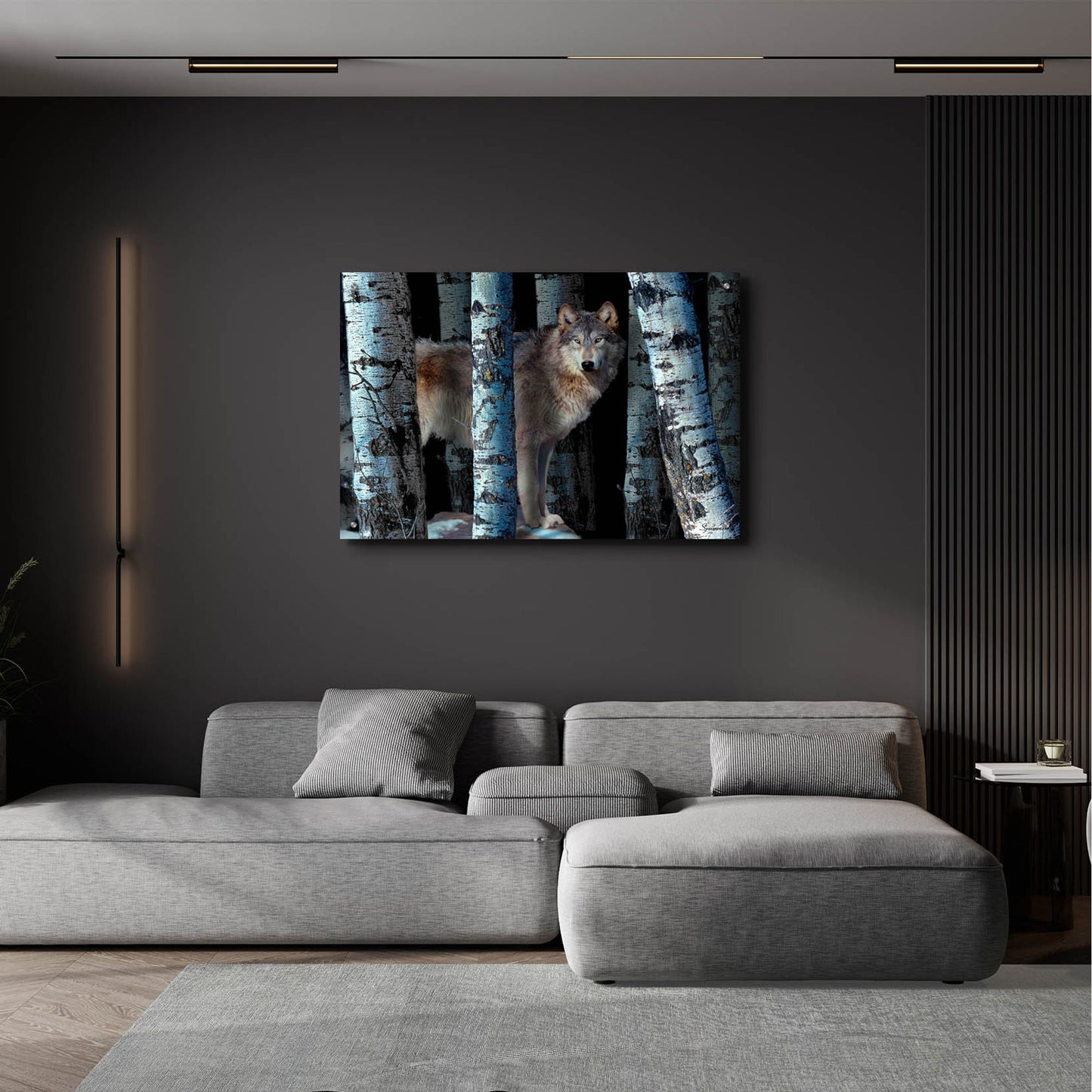 Epic Art 'Moon Shadows' by Gordon Semmens, Acrylic Glass Wall Art,36x24