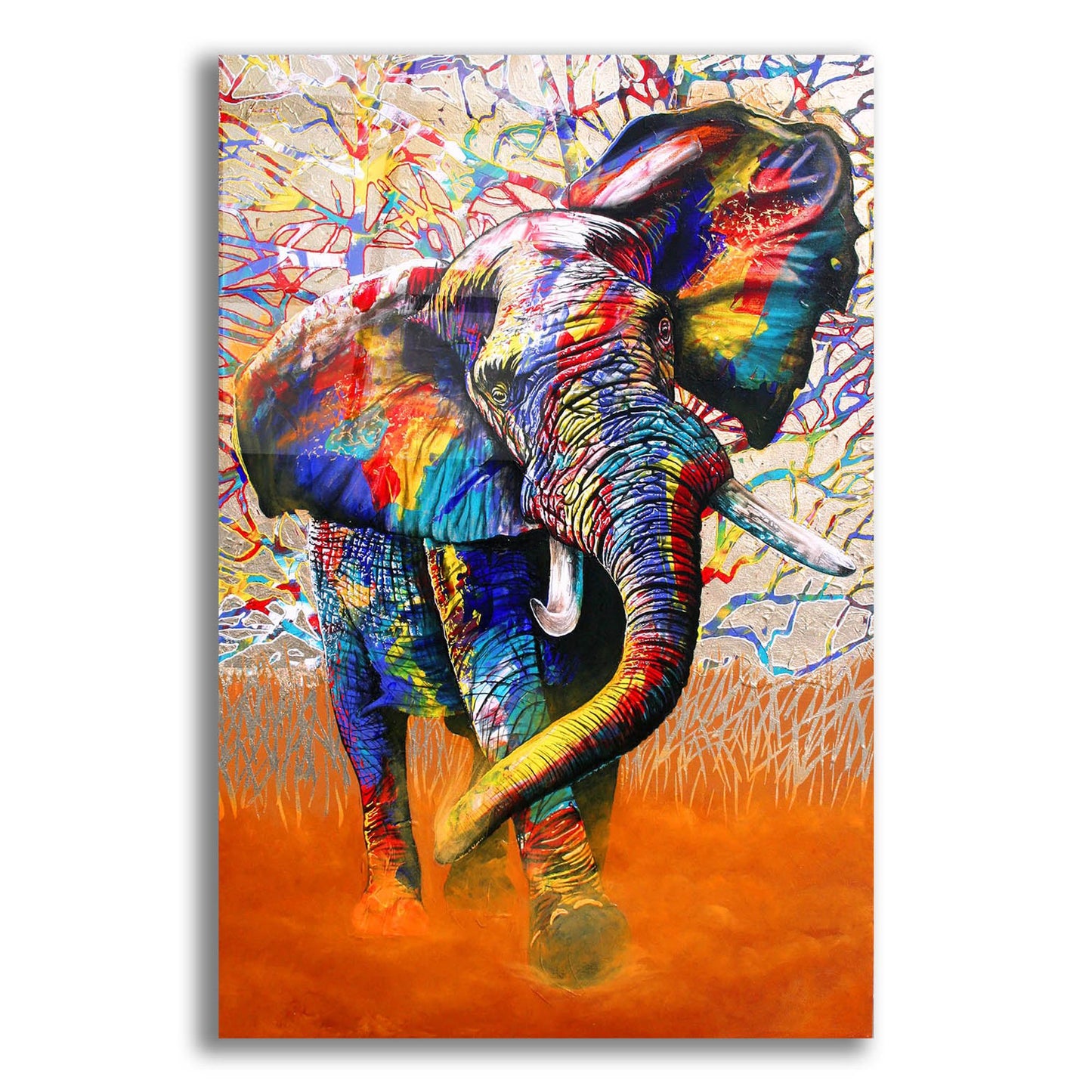 Epic Art 'African Colours' by Graeme Stevenson, Acrylic Glass Wall Art