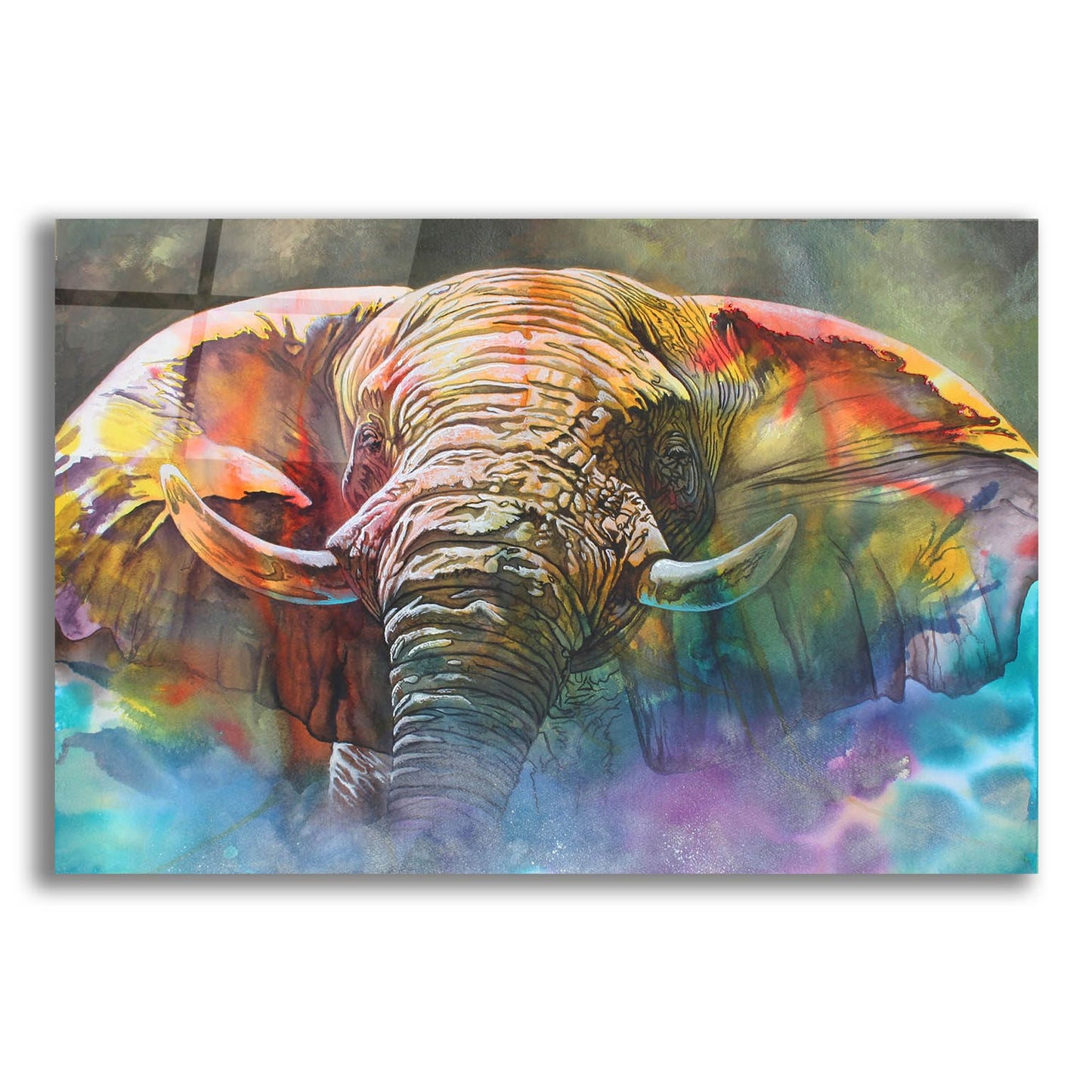 Epic Art 'Back Off Large' by Graeme Stevenson, Acrylic Glass Wall Art,24x16